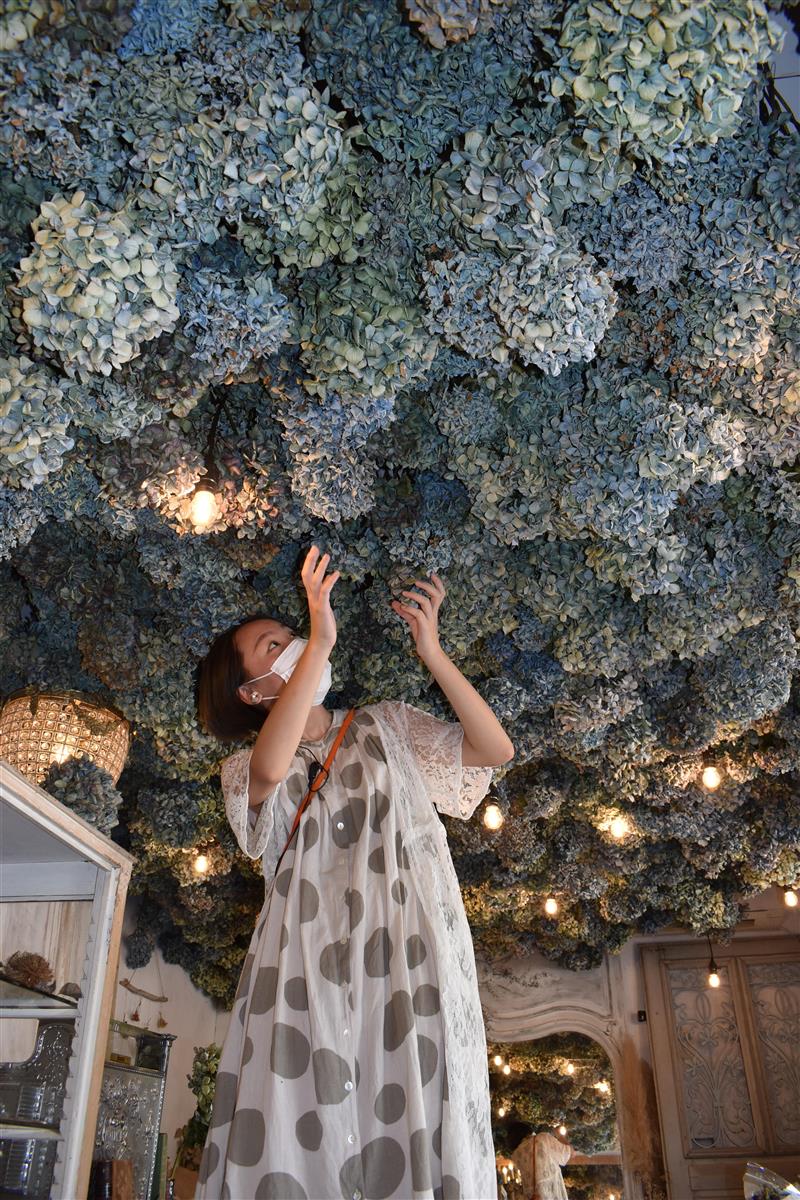 NYタイムズが「行くべき」と激賞した絶景の桜ピンチ（2/2ページ