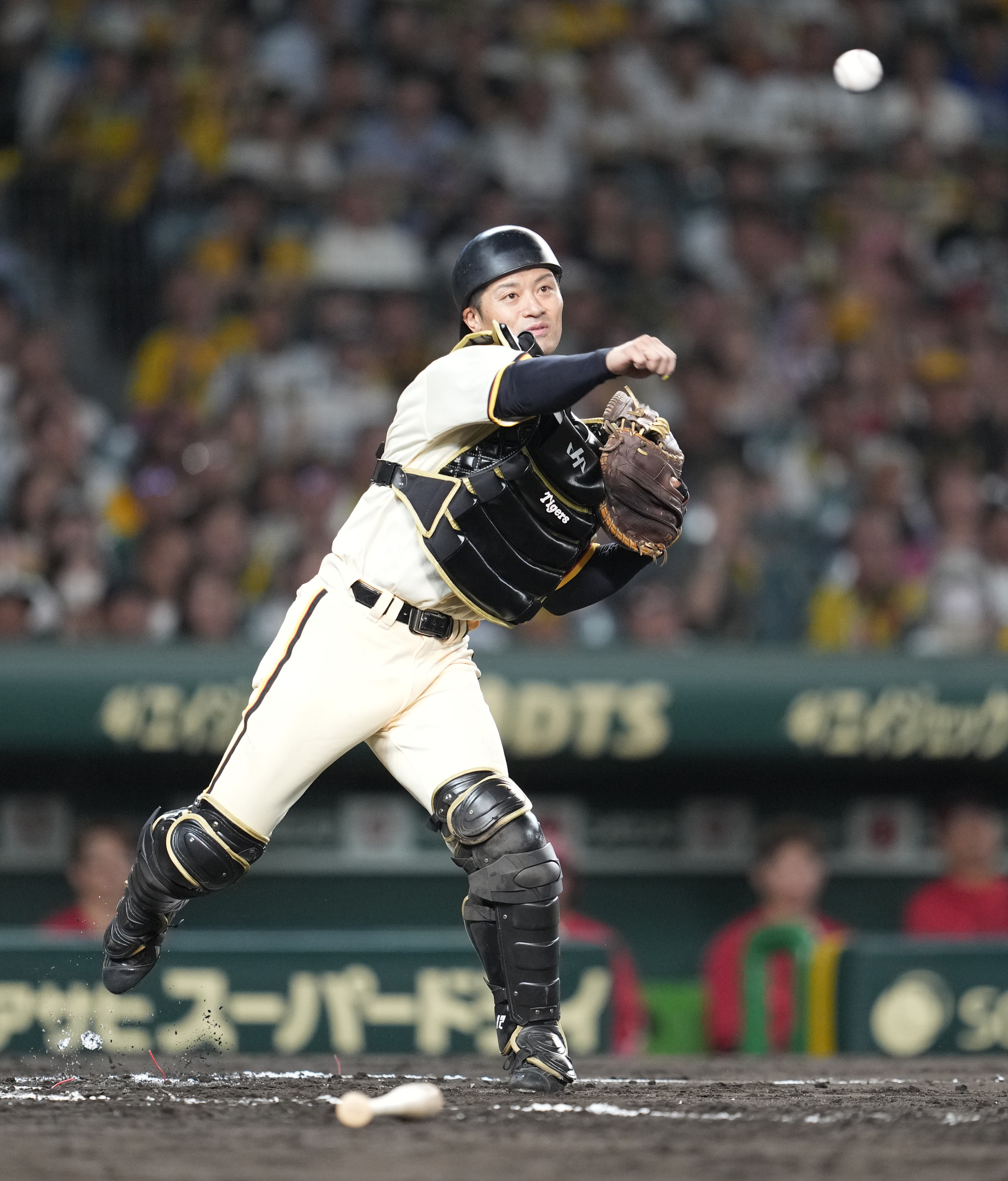 【坂本朗】 阪神・坂本、頼もし好リード 〝スミ1〟勝利「やりがいしかないですね