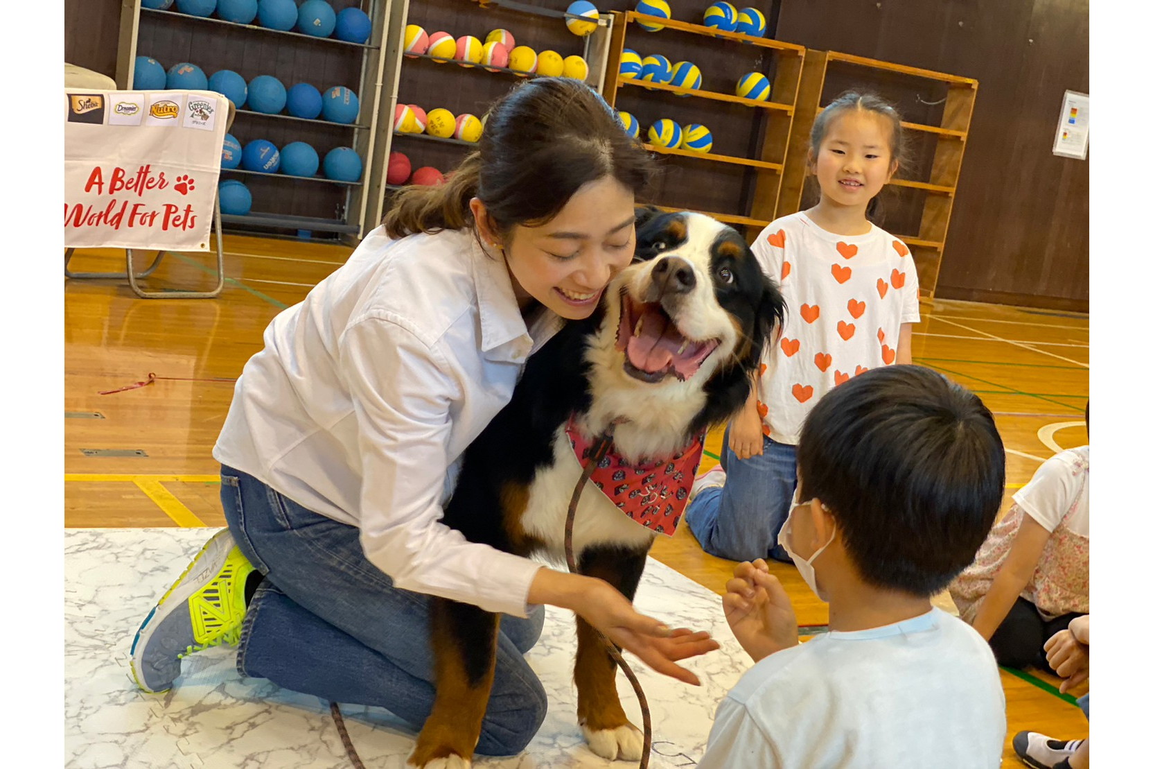 小学校での動物介在教育 ～ハンドラーのたまご～ - イザ！