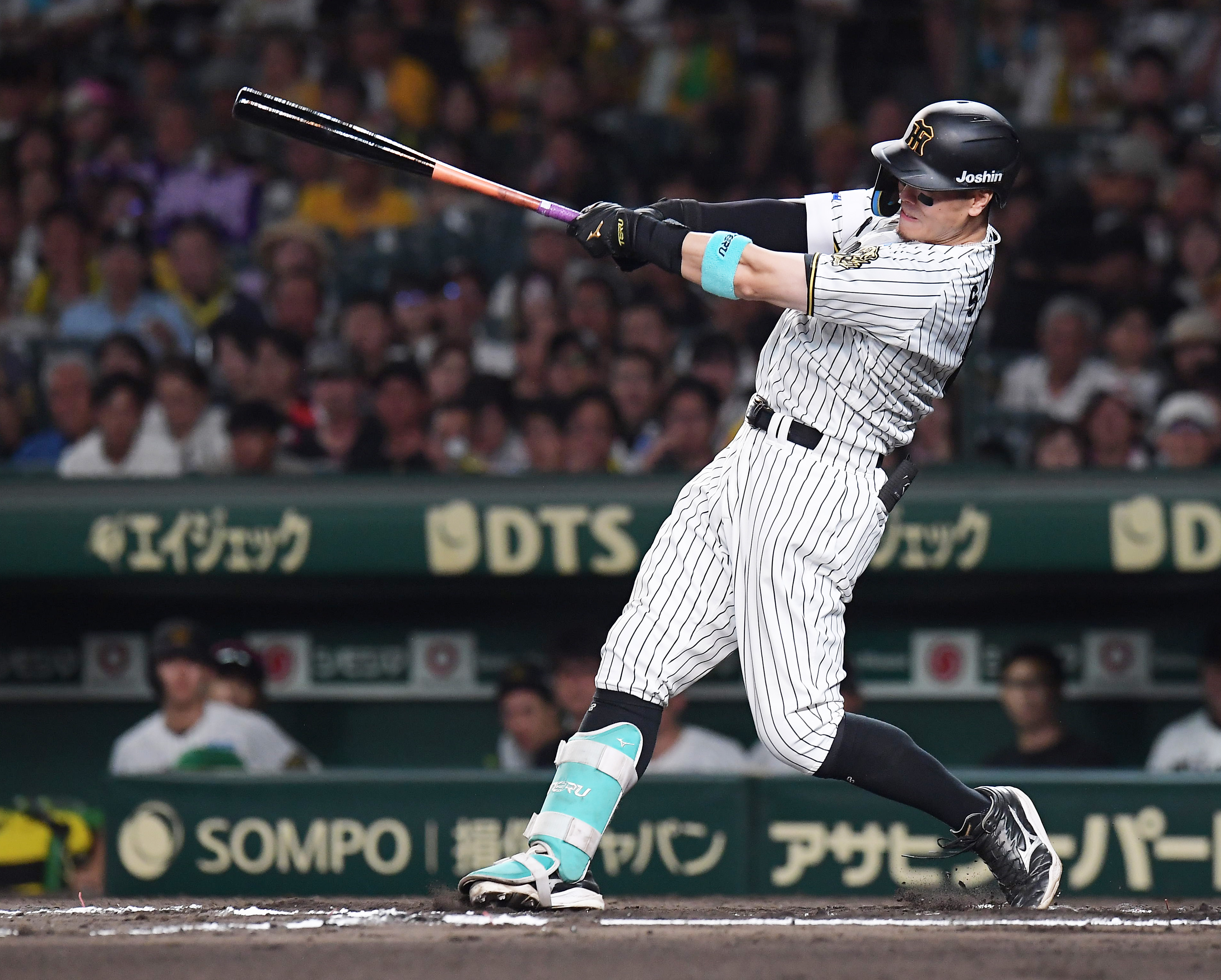 阪神・佐藤輝明、招待したチビっ虎に届けたキング独走の26号 29