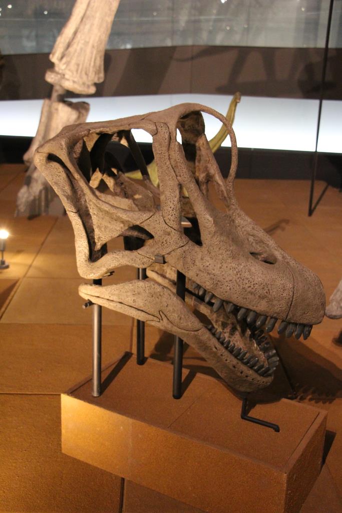 堂々Tレックス、新登場トカゲの王、恐竜博物館の魅力再開（1/2ページ