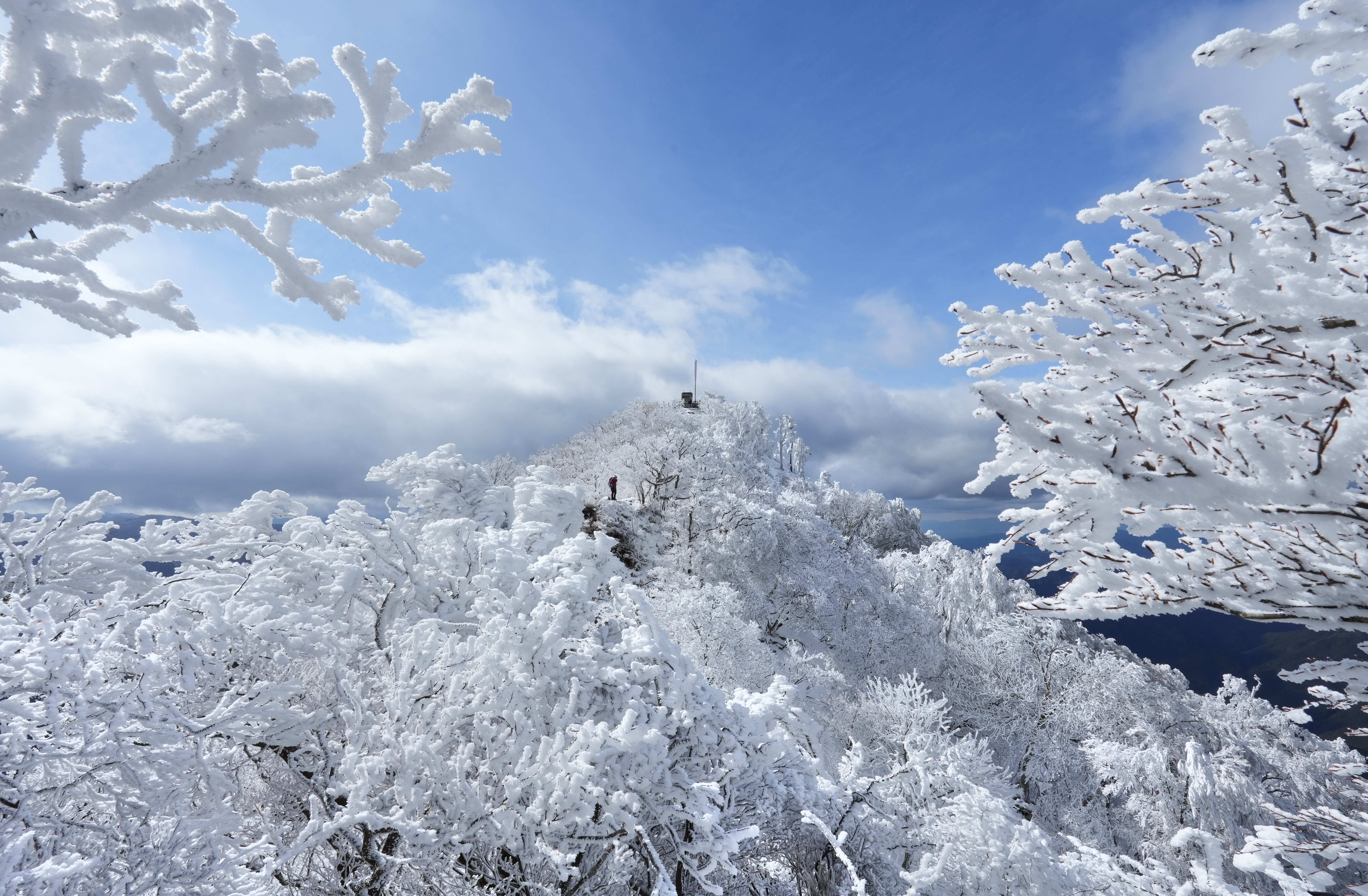 動画】〝関西のマッターホルン〟高見山 覆い尽くす 美しき霧氷 映える