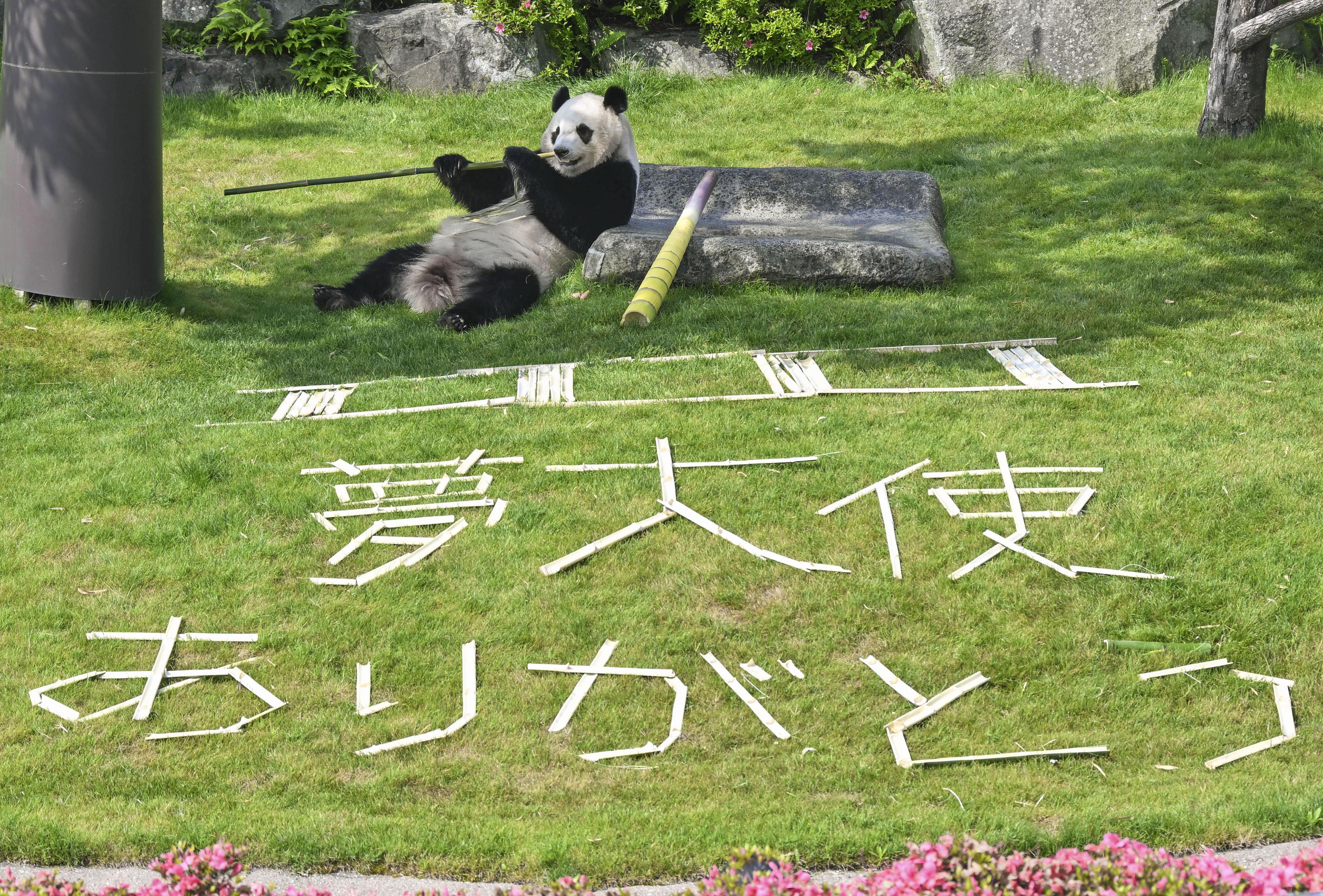 CHMN6AAOQRL2RFYUV4CM3Z5W34.jpg CHMN6AAOQRL2RFYUV4CM3Z5W34.jpg