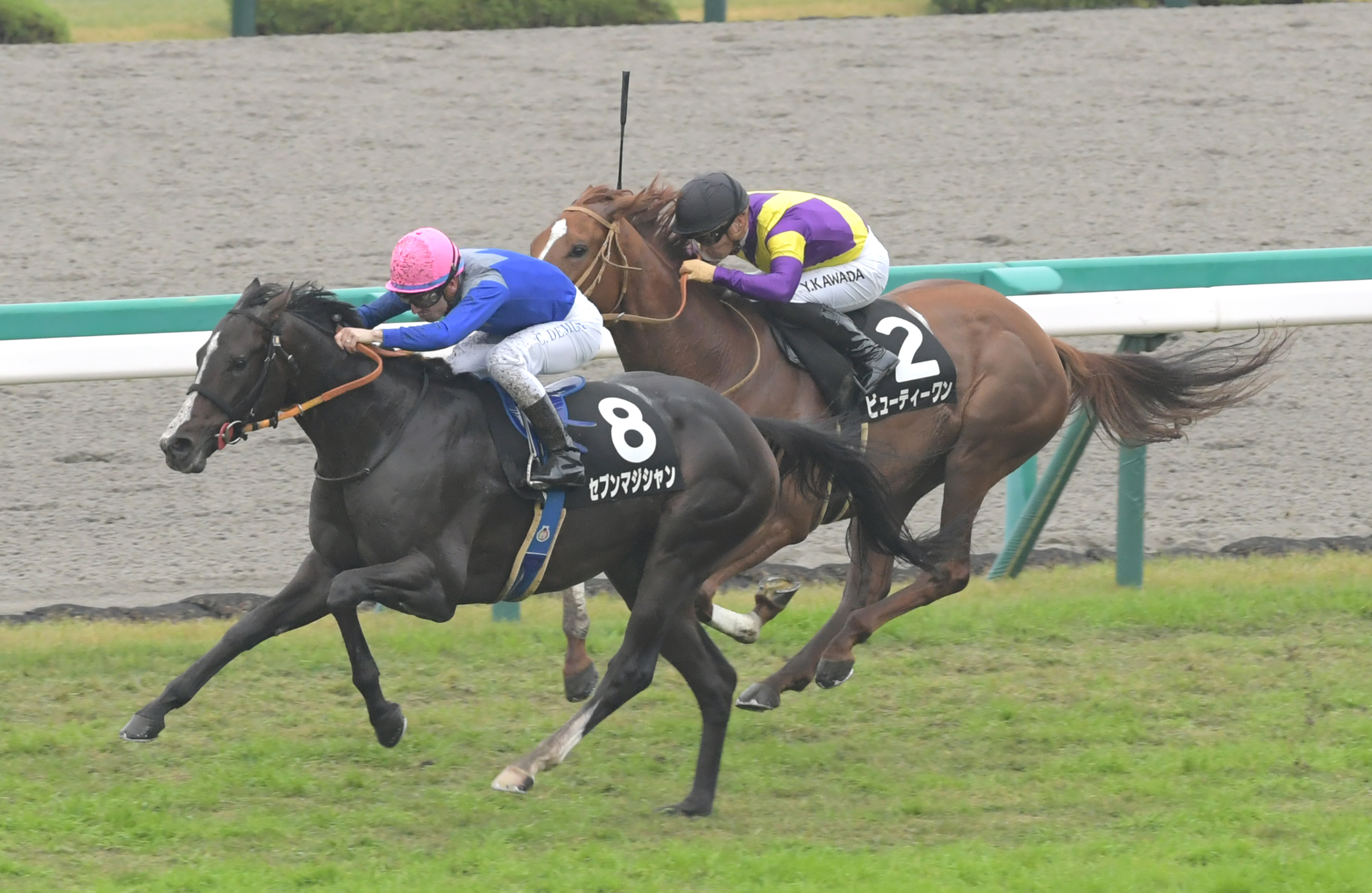 黄菊賞 １番人気セブンマジシャンが差し切り無傷の連勝 サンスポzbat