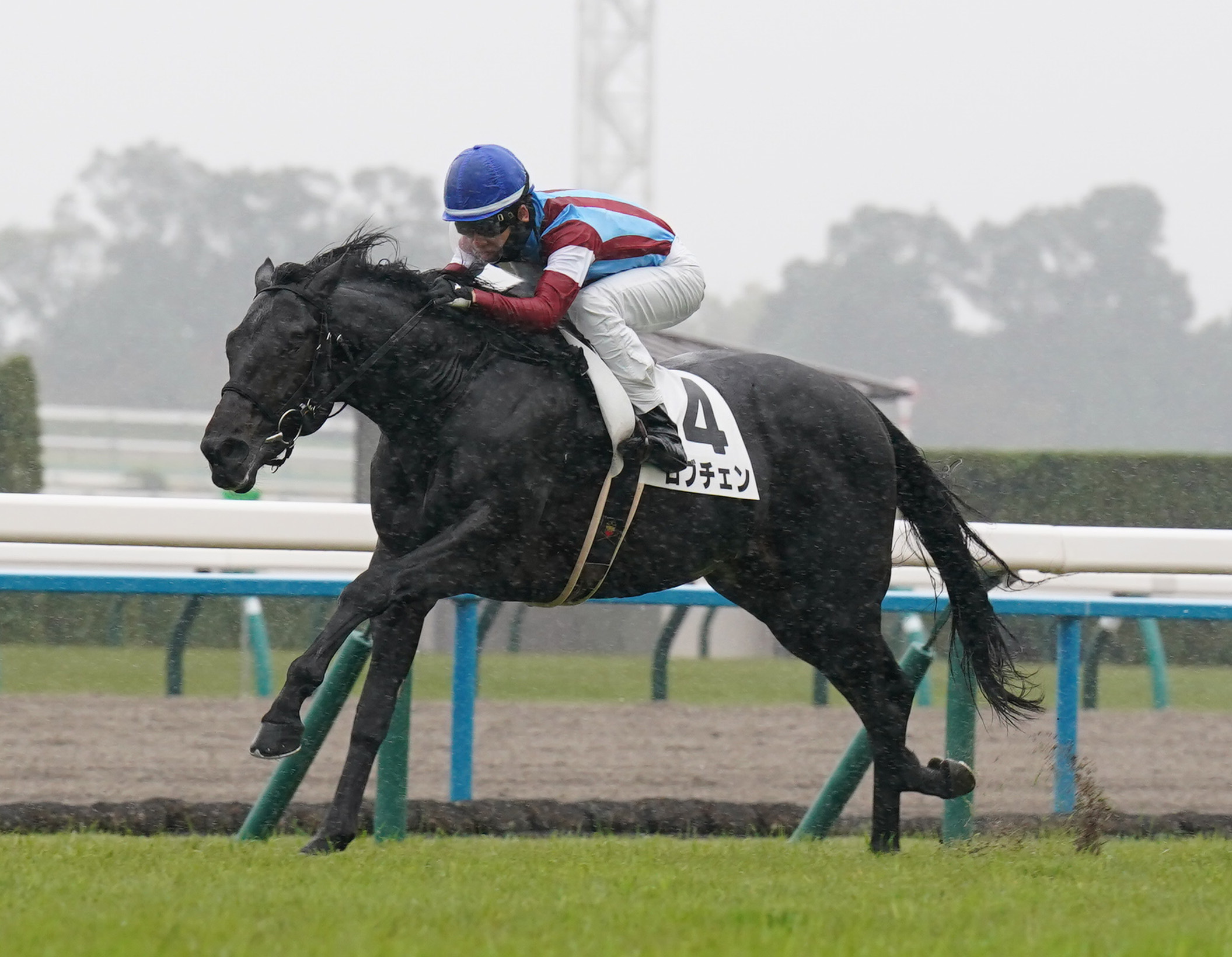 2歳新馬・京都5R】ロブチェンが果敢に逃げて押し切り！ワールド