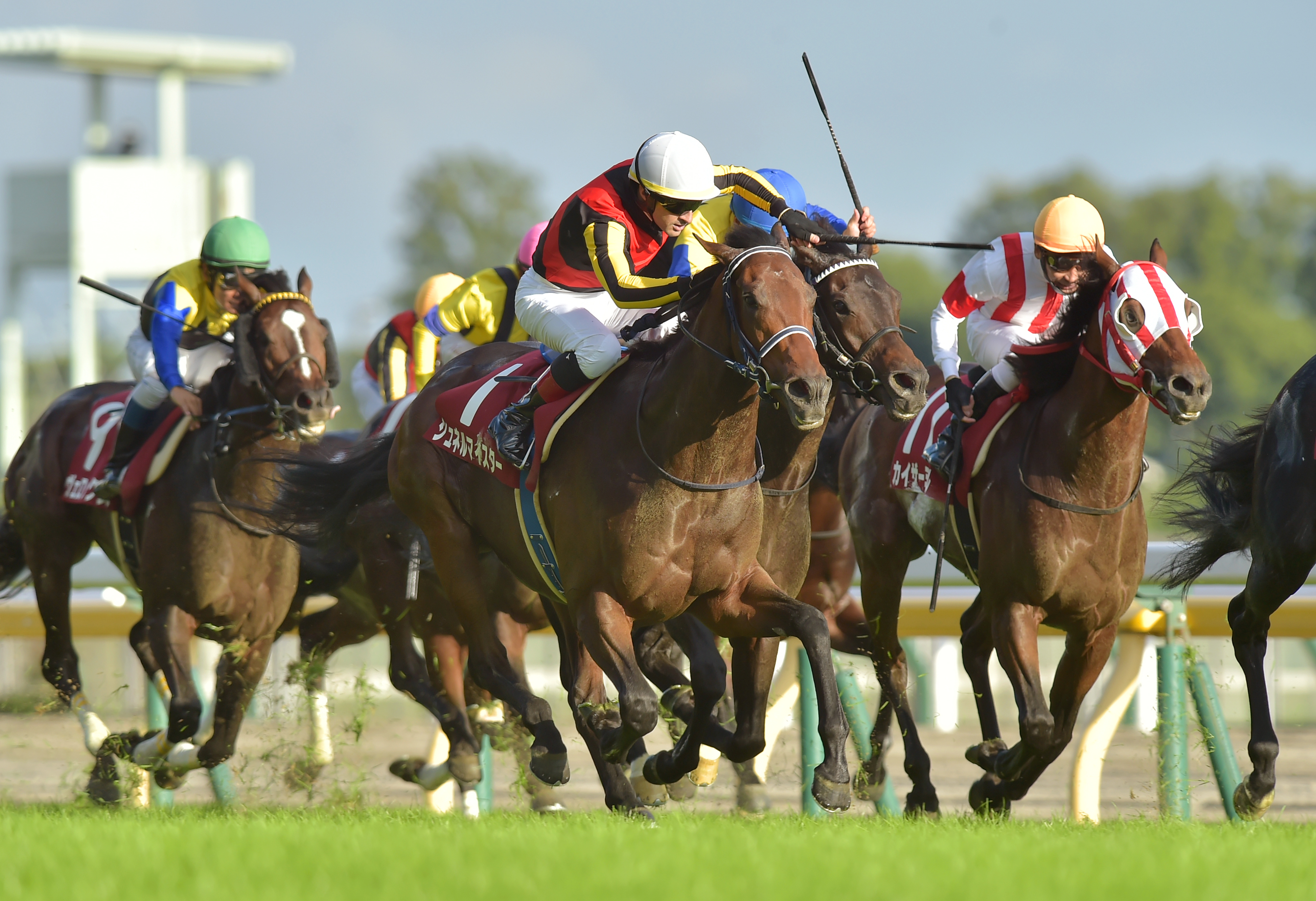 【毎日王冠の注目点】ＧⅠ馬、重賞勝ち馬が続々始動！ 天皇賞・秋 ...