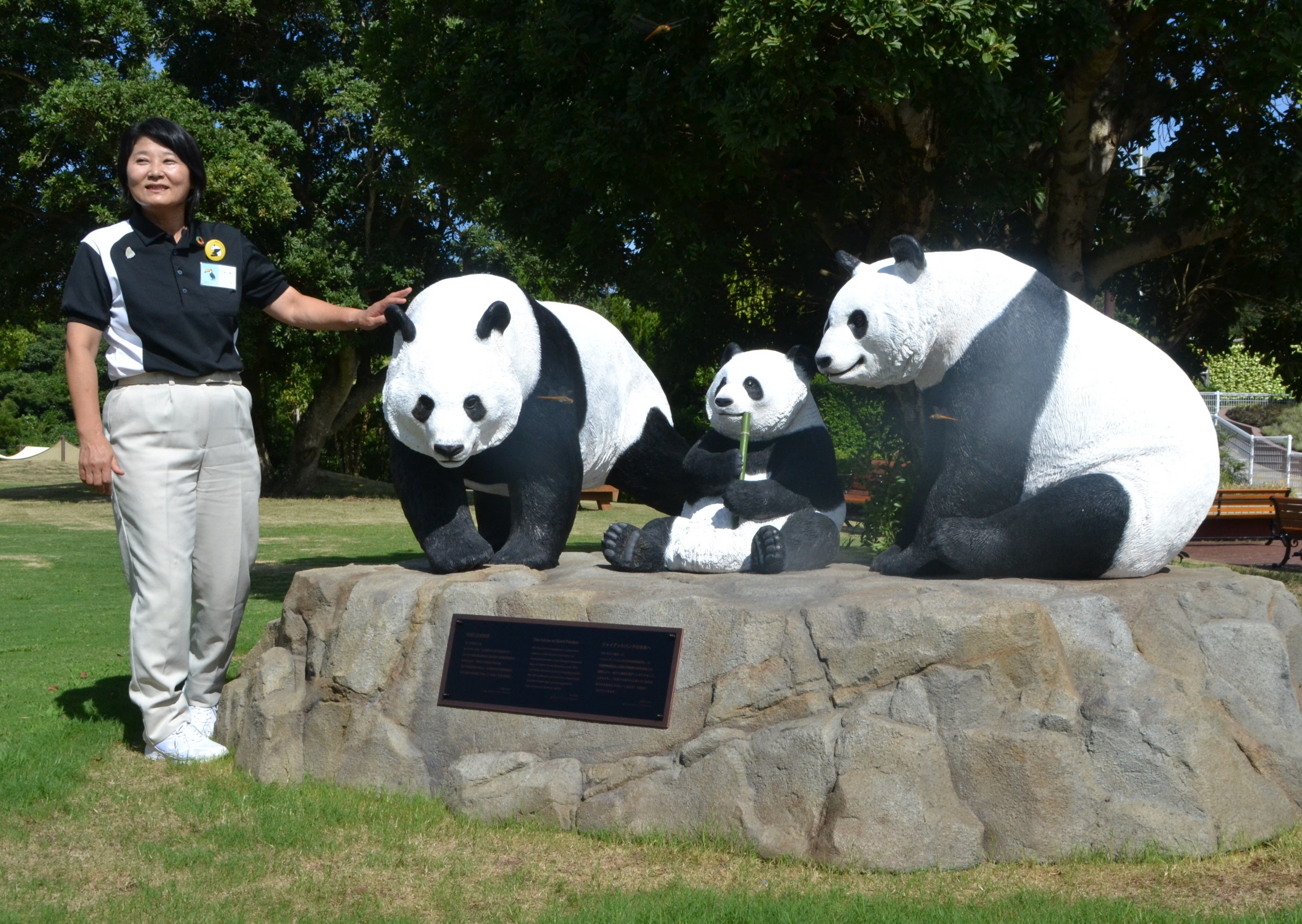 和歌山・白浜のパンダ「永明」30歳に 人間なら90歳 - 産経ニュース