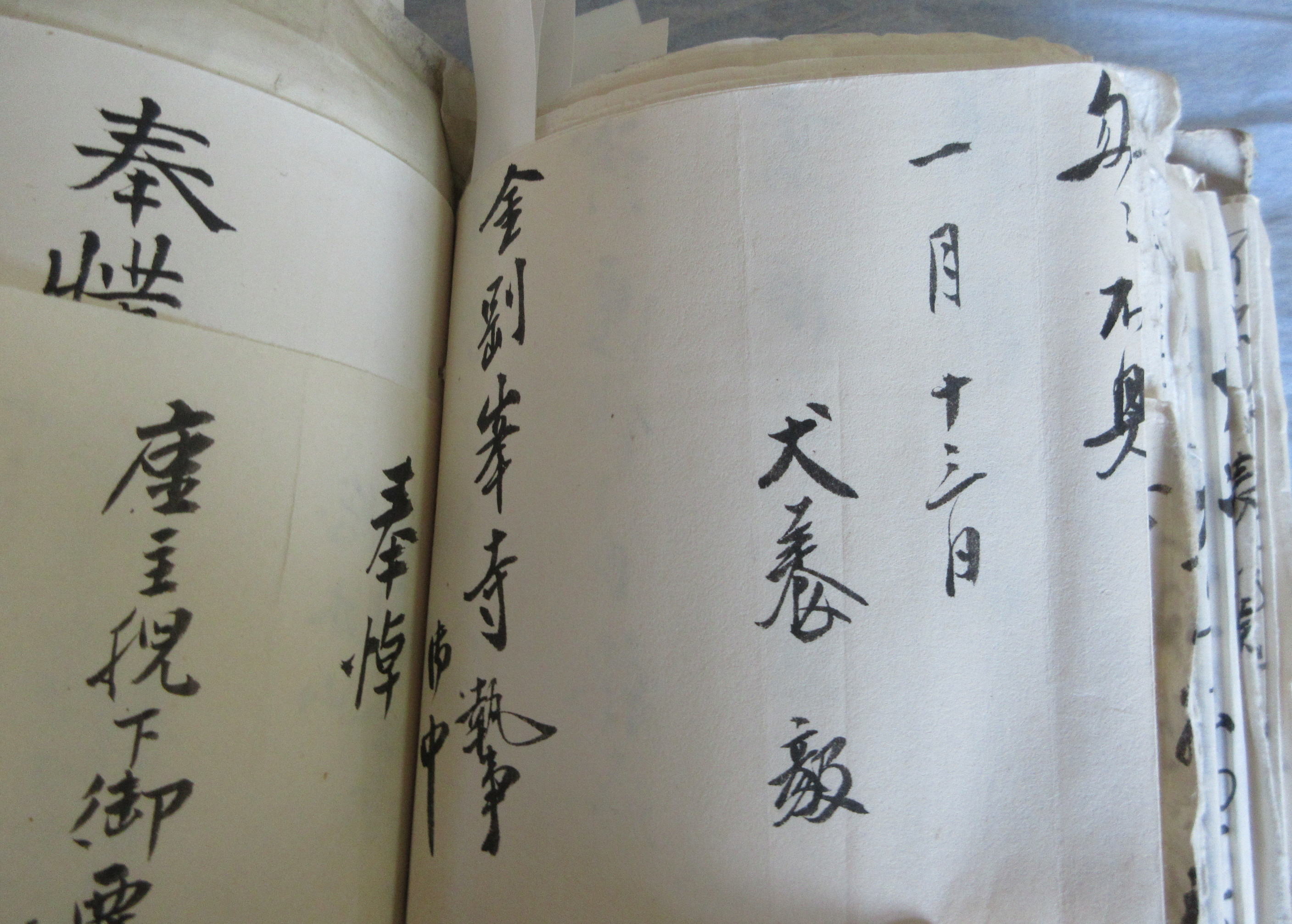 高野山・金剛峯寺、南方熊楠や富岡鉄斎の礼状など発見 古文書語る信仰
