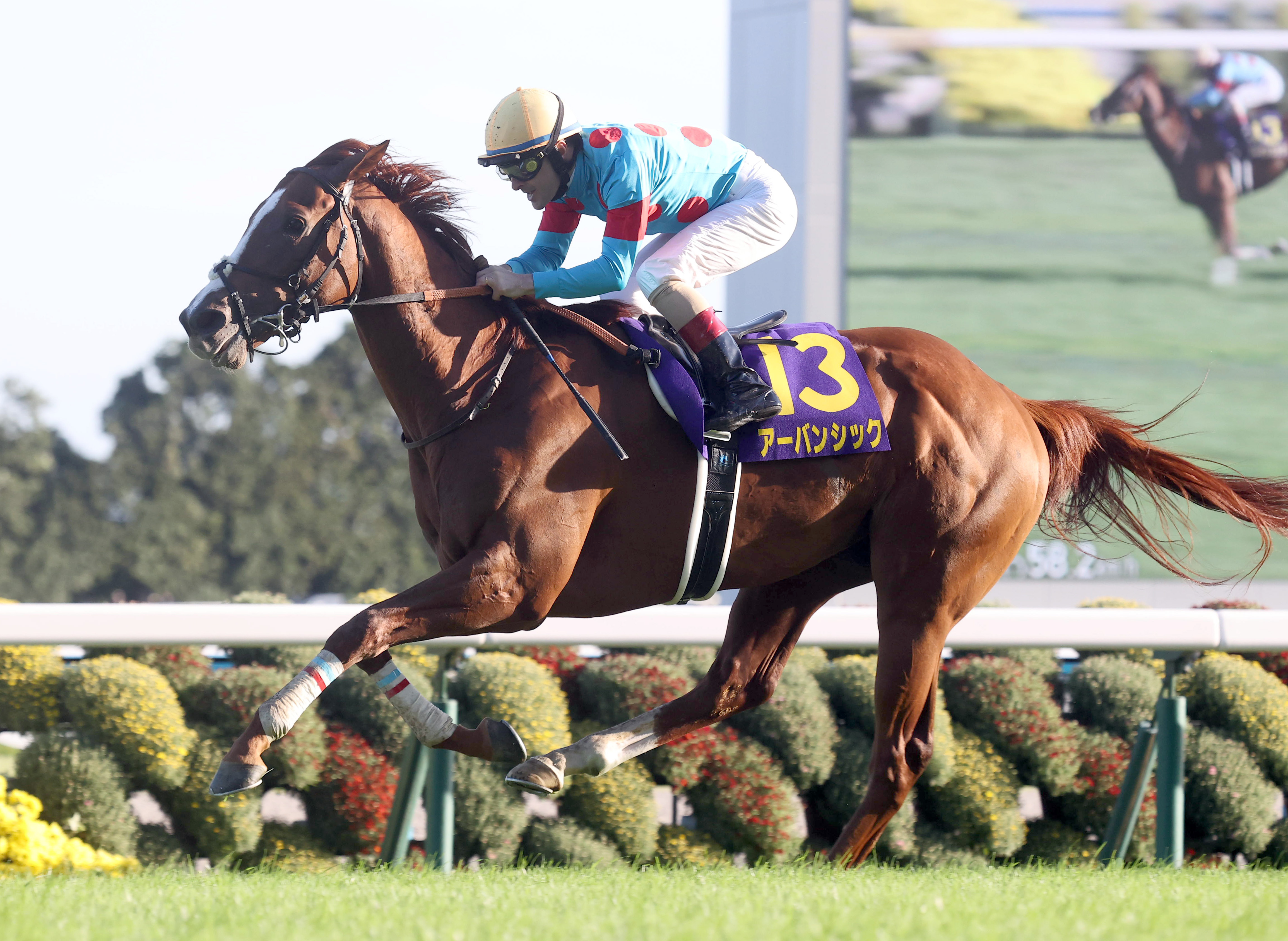 日経賞の注目点】菊花賞馬アーバンシックが始動！重賞V3狙う