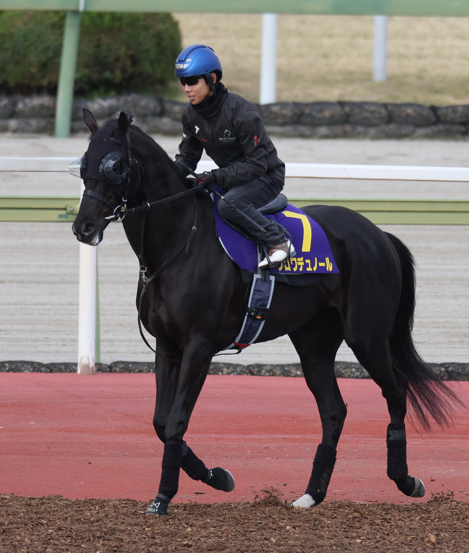 クロワデュノール　メイクデビュー（新馬戦）　現地的中単勝馬券　⭐︎ホープフルS制覇 ホープフルS 展望】クロワデュノールが無敗3連勝で戴冠へ | 競馬