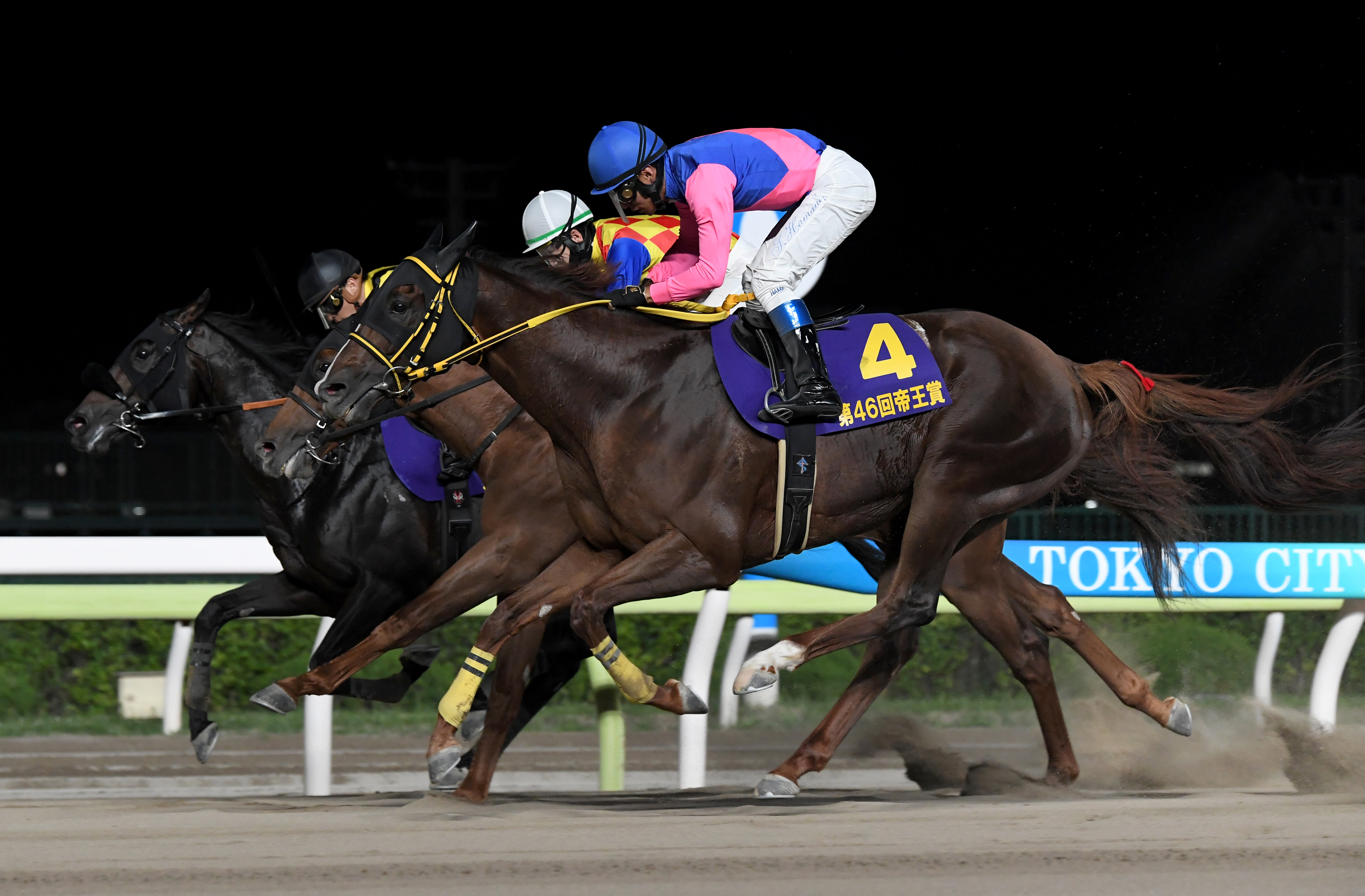 帝王賞】メイショウハリオ史上初連覇！ かしわ記念に続きJpnⅠ連勝 