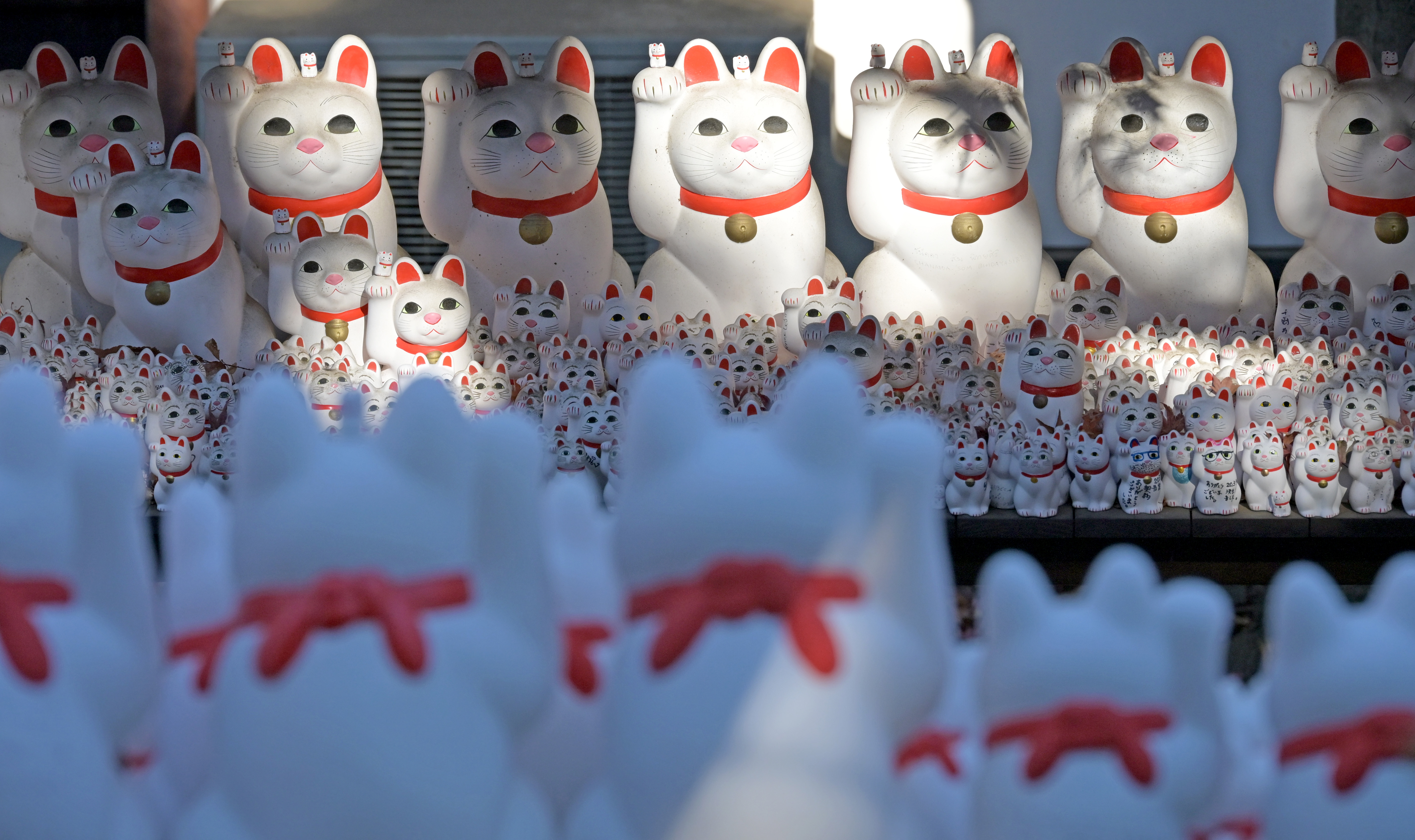 おいでおいで」と一年の福を引き寄せる招き猫 年の初めに願いを託す