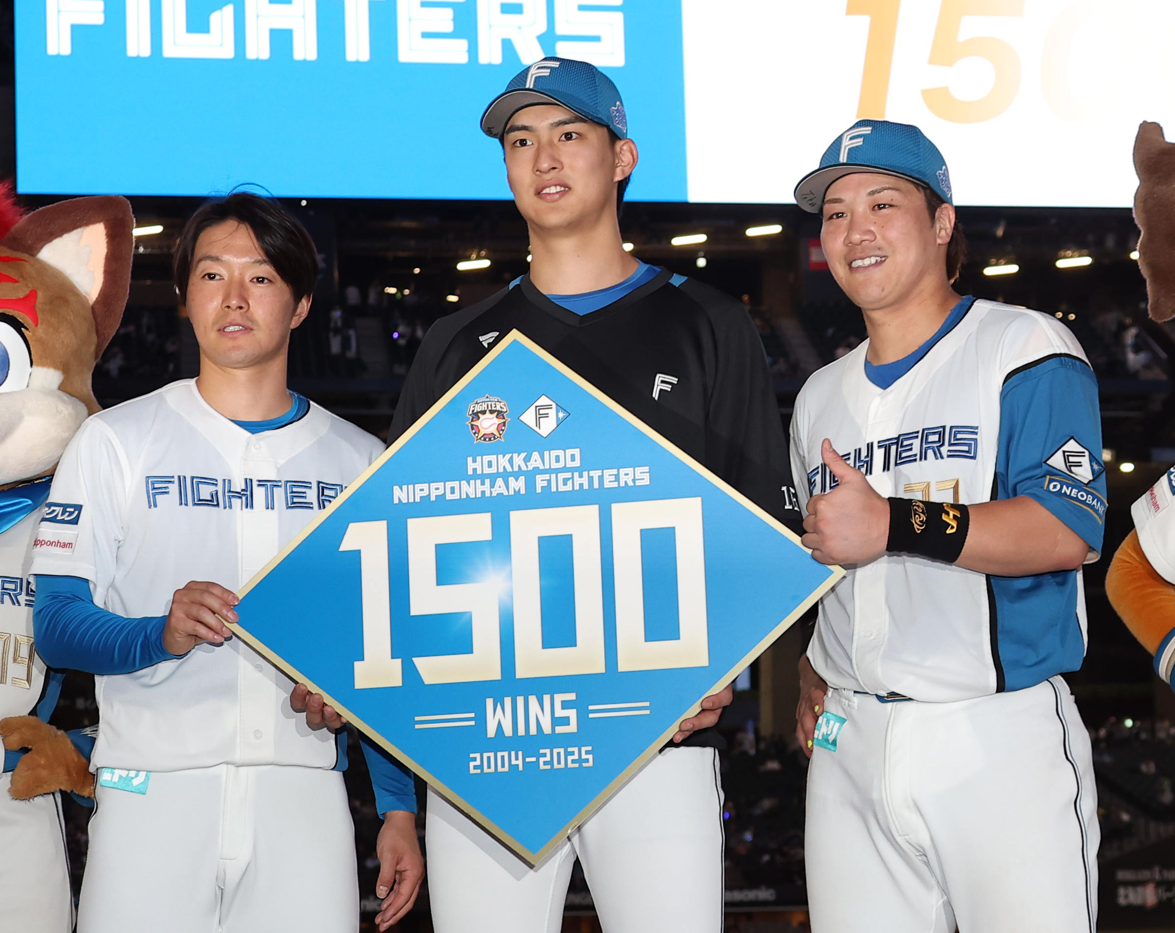 北海道日本ハムファイターズ 16 達孝太 両面等身大タペストリー jambalaya_23hnf-06