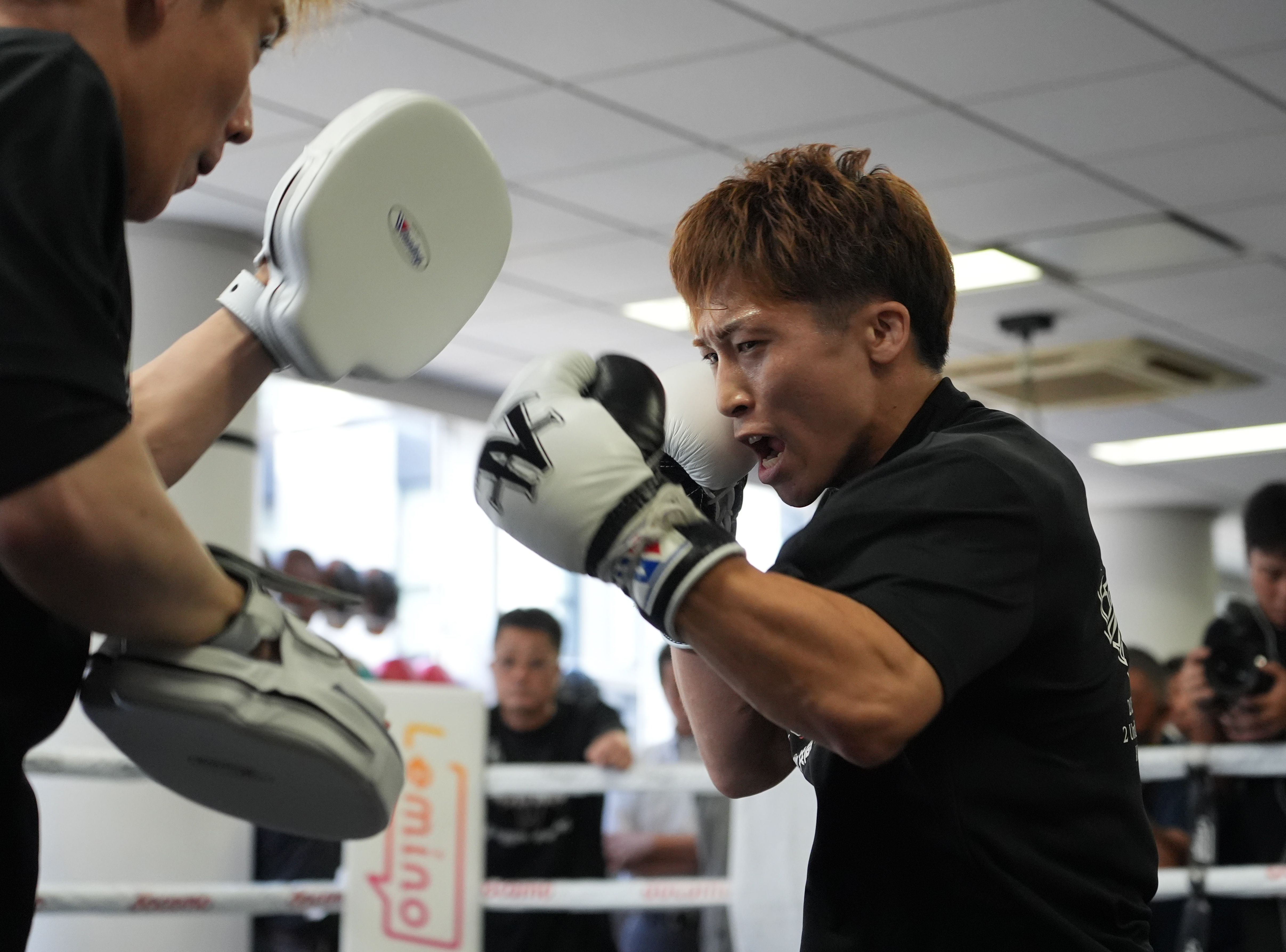 ボクシング】亀田大毅氏「井上選手の予想、残酷なこと言うかも