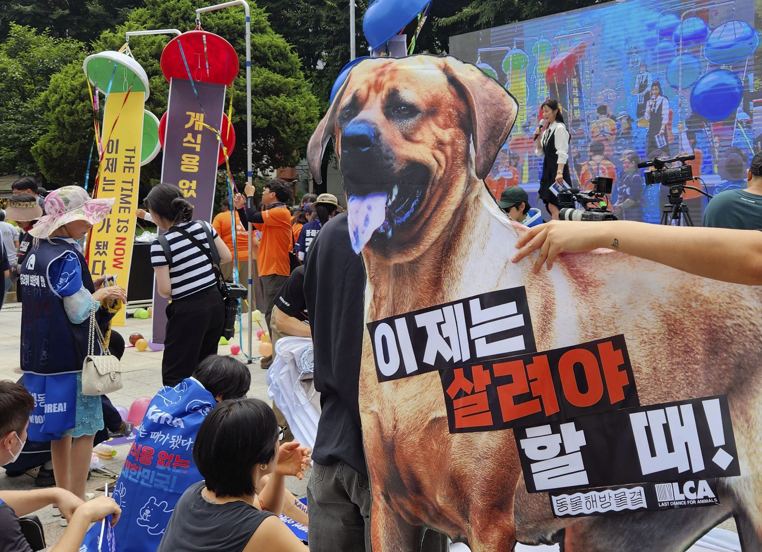 犬食用禁止法が韓国国会で可決 大統領夫人や与野党そろって後押し - 産経ニュース