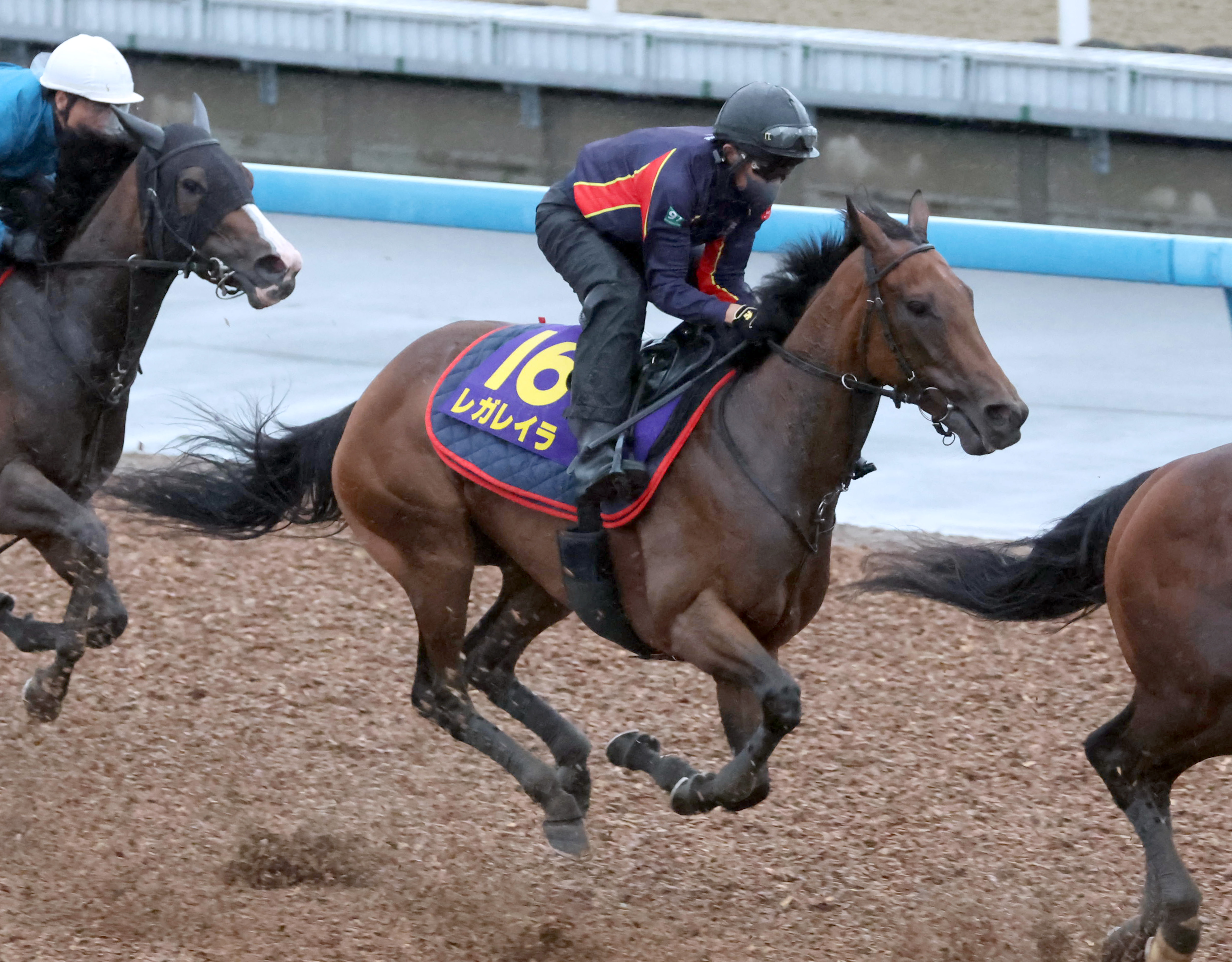 馬券　レガレイラ　9種 宝塚記念 追い切り】抜群の反応は好調の証し レガレイラ有馬以来