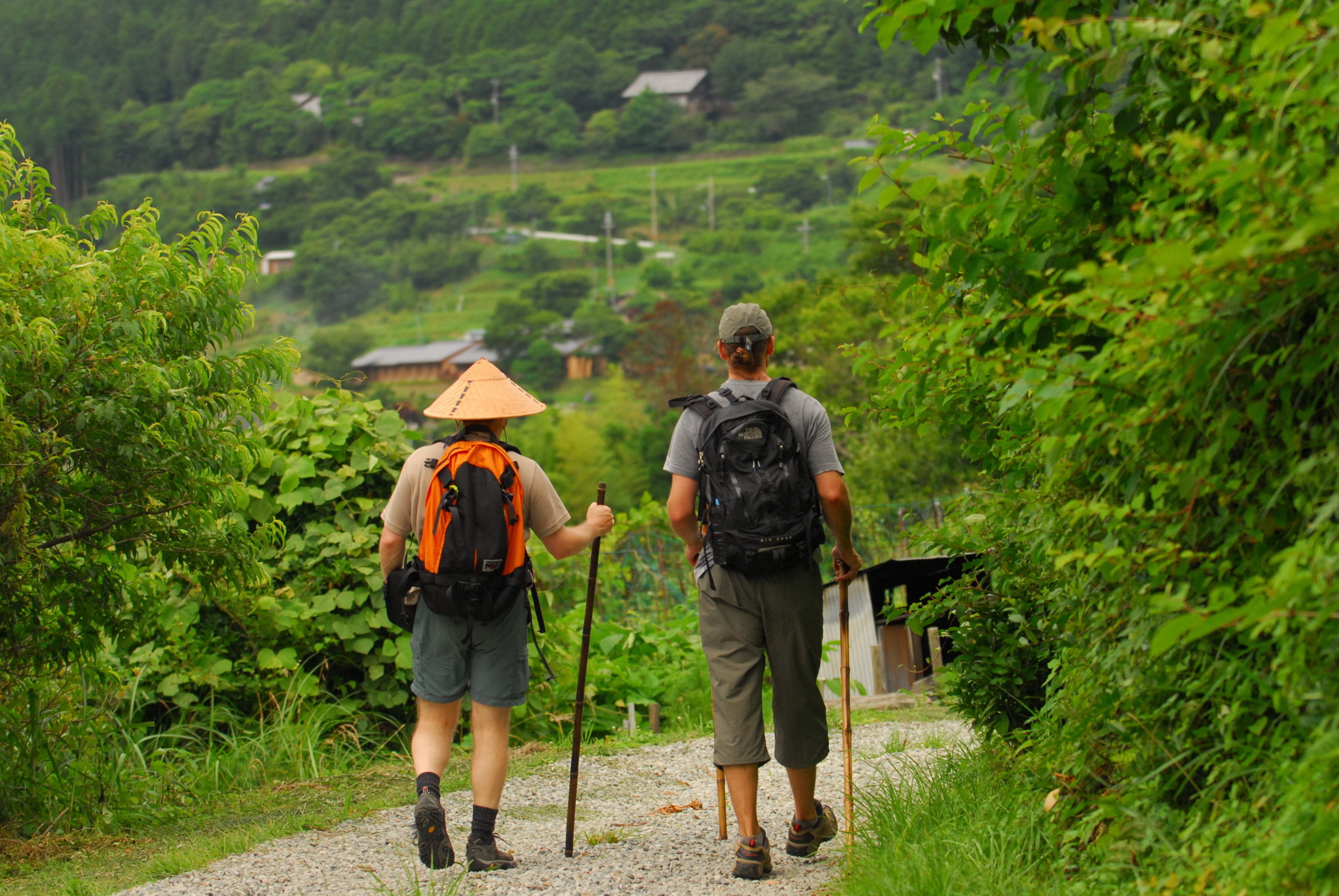 熊野古道の世界遺産登録から来年20年 和歌山・田辺市がイベント計画 - 産経ニュース