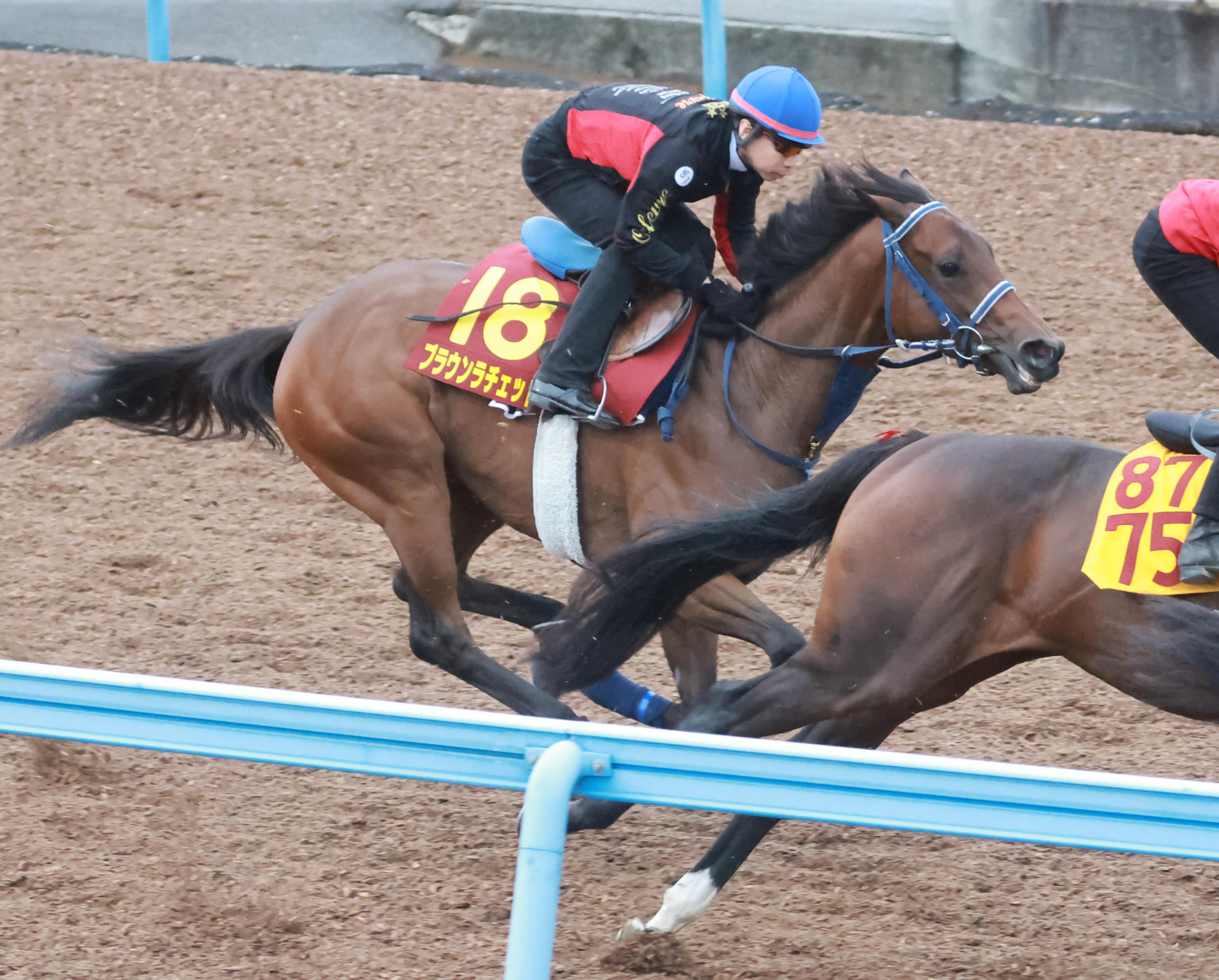 秋華賞 1週前追い切り】ブラウンラチェットは僚馬2頭に先着 池添謙一