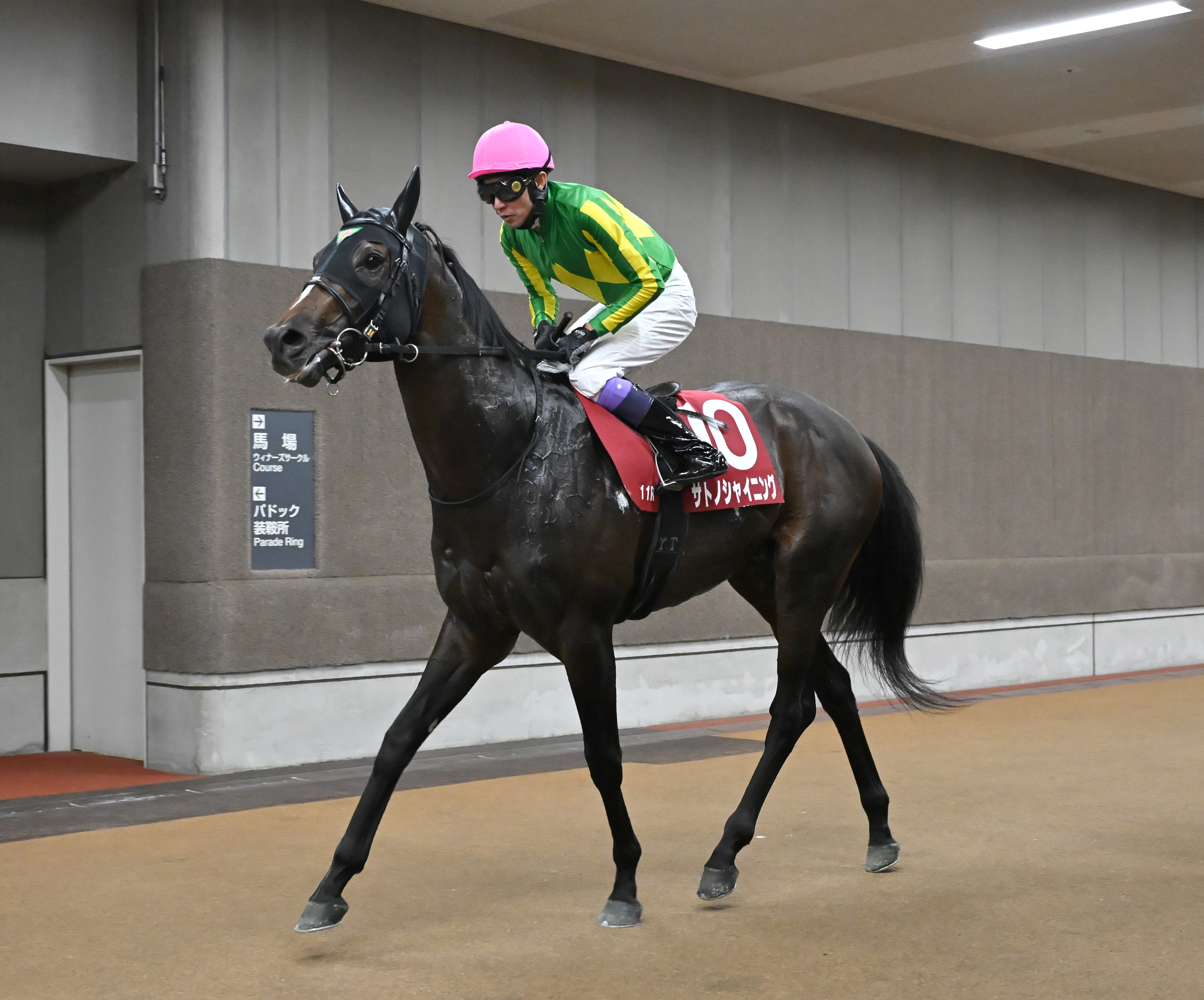 毎日王冠】1番人気のサトノシャイニングは3着 武豊騎手「少し力んで