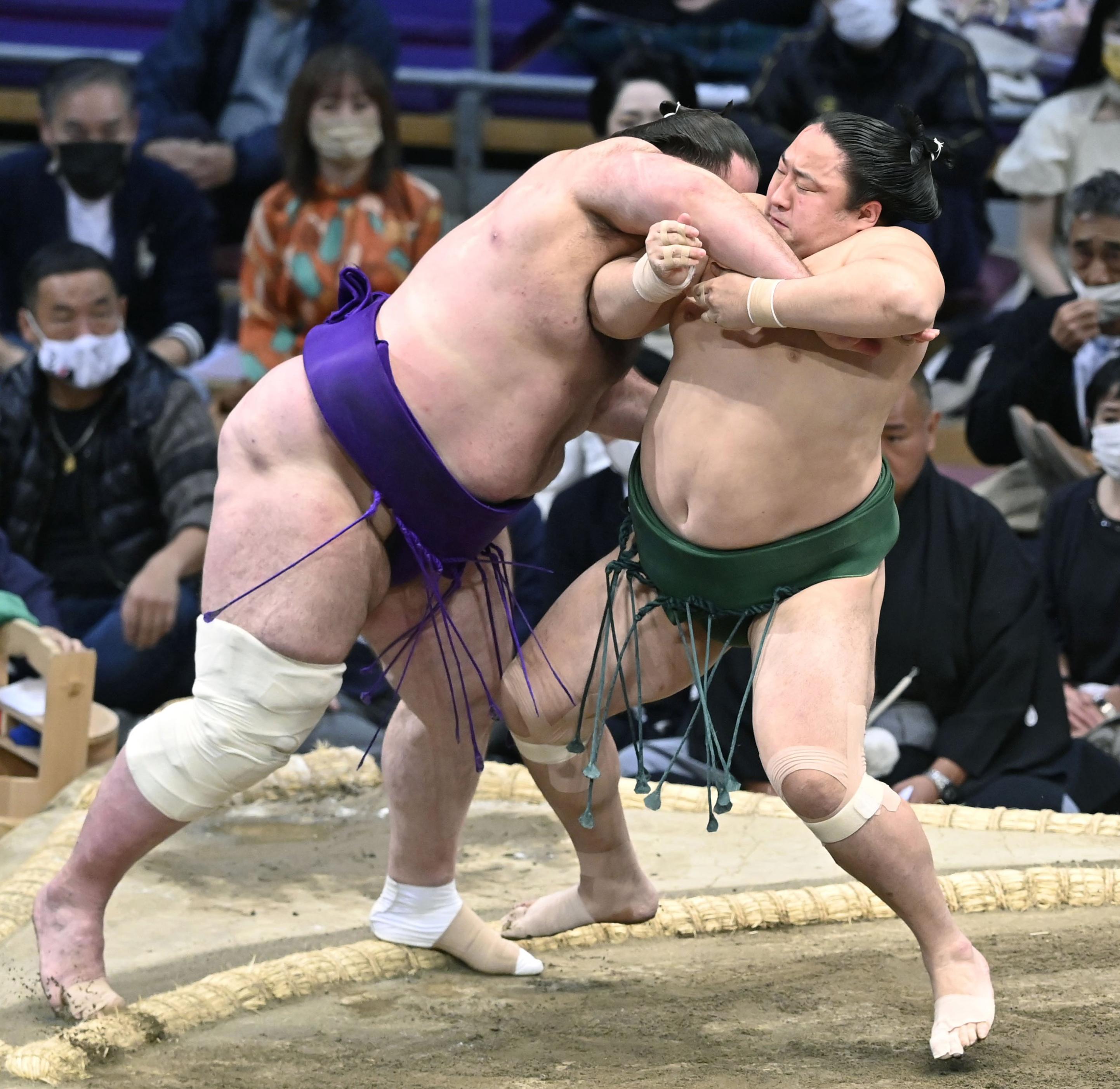 ⭐︎大相撲⭐︎佐田の海 反物（一反）無敵時間！！！※九月場所番付