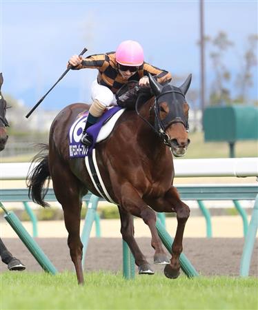 非売品] 競馬 モズスーパーフレア キャップ 【公式通販】