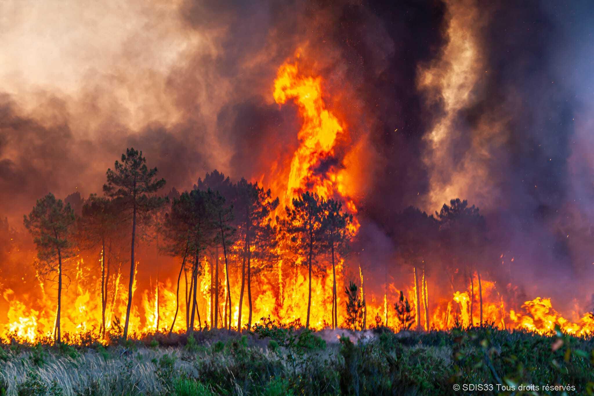 フォト特集 欧州熱波 山火事や死者も ポルトガルでは４７ に 産経ニュース