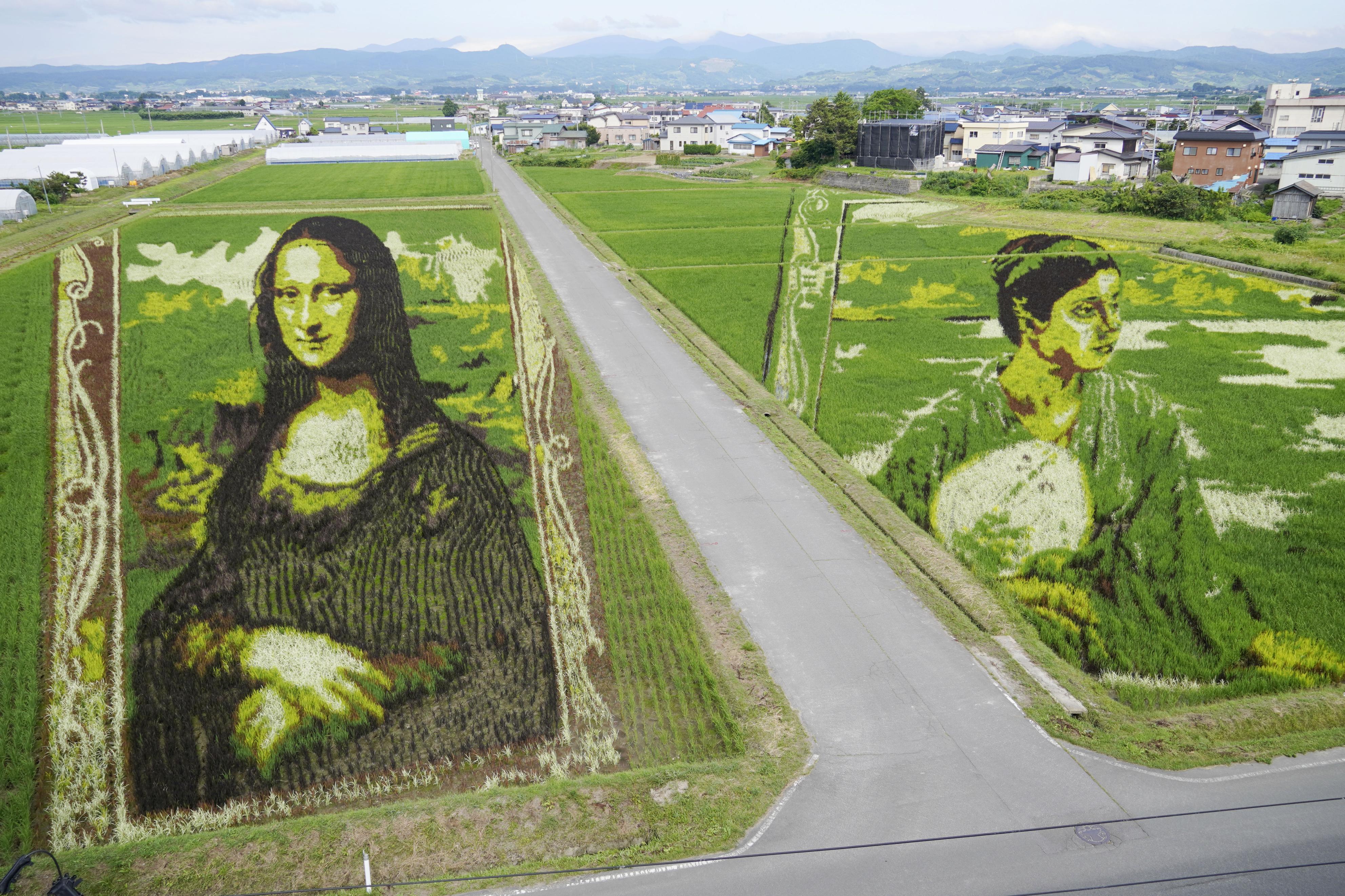 油絵 絵画 【田舎の田んぼ】 油絵 絵画 【田舎の田んぼ】