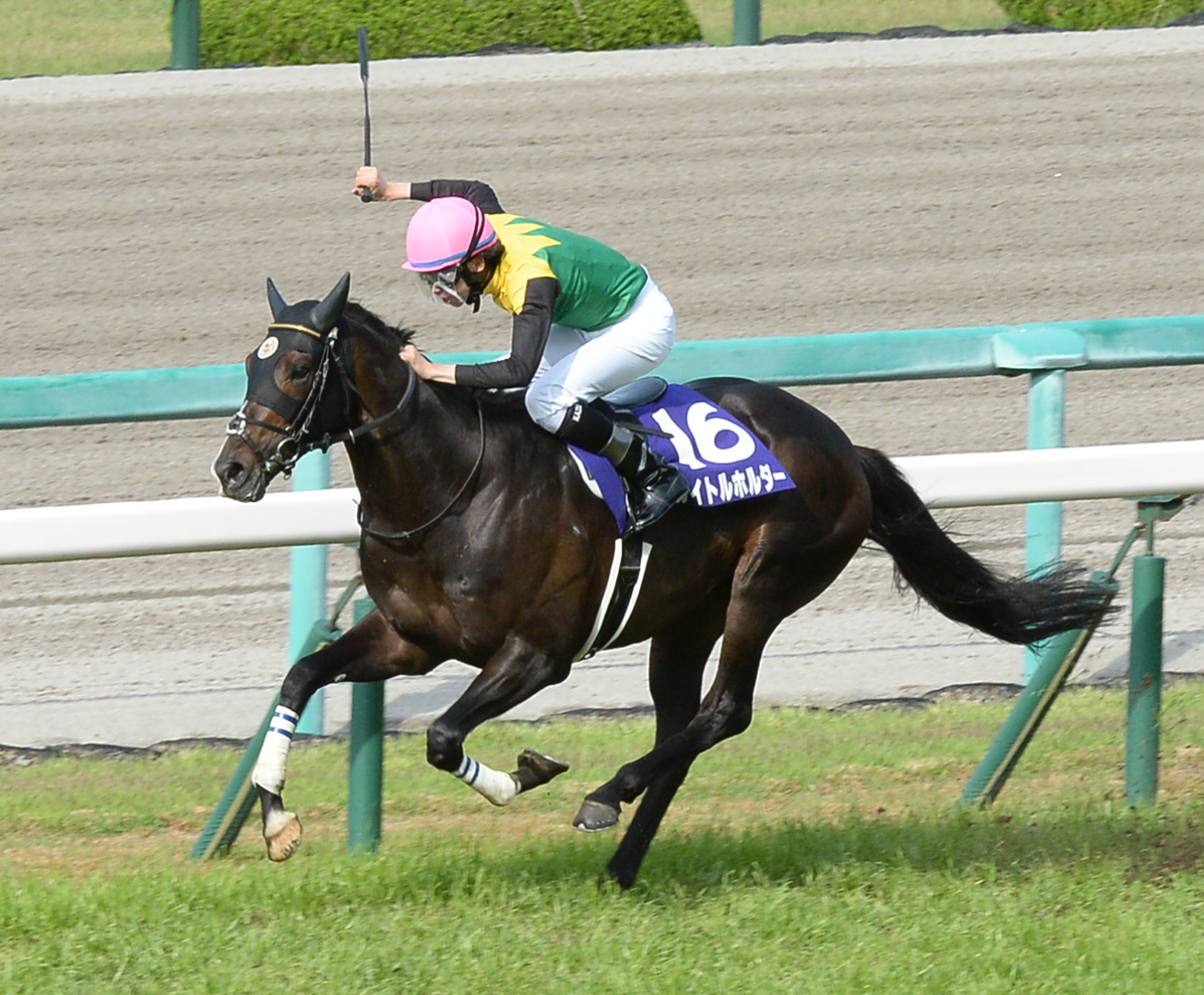 天皇賞・春】菊花賞馬強し！タイトルホルダーが７馬身差で春の盾奪取