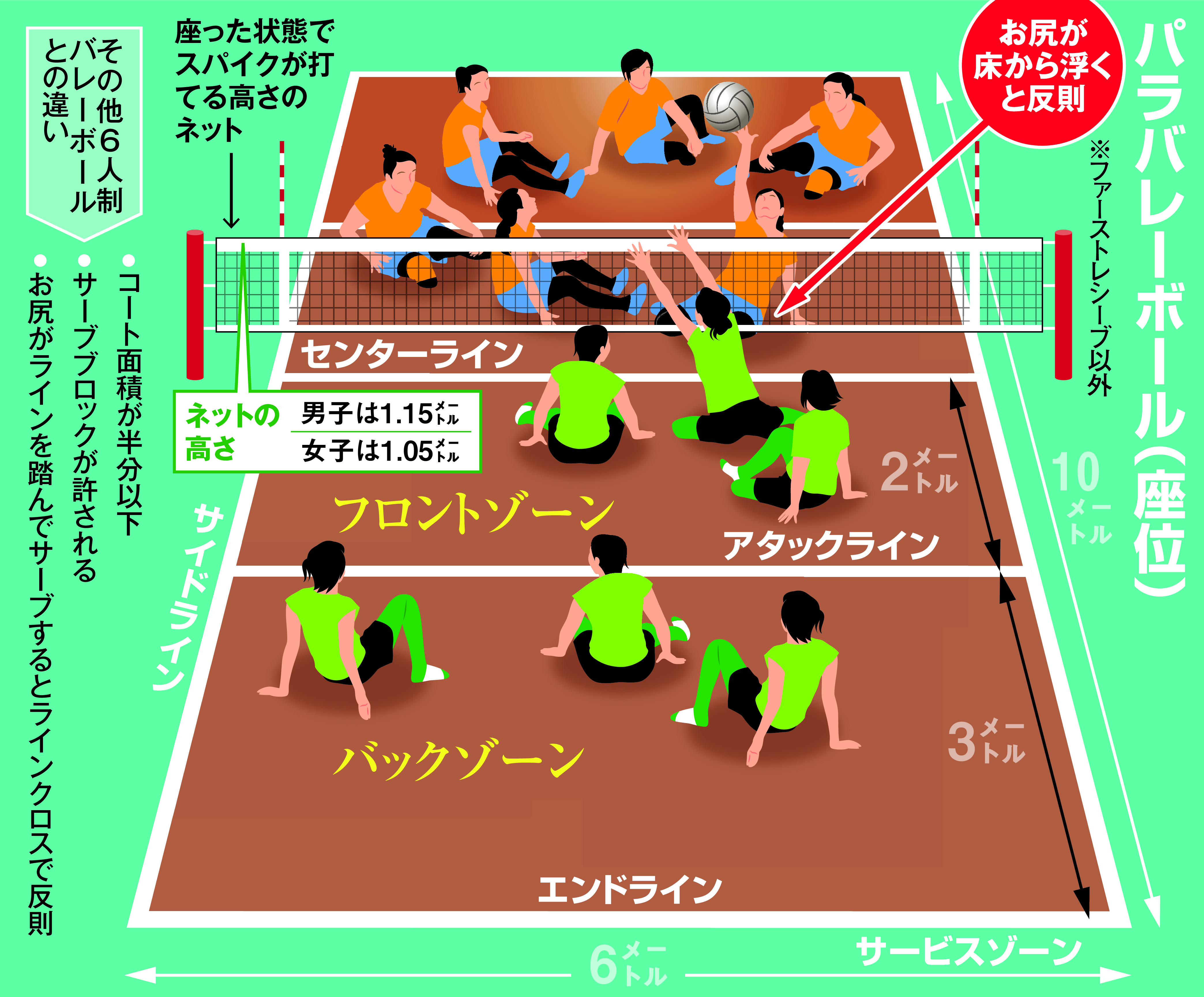 生涯 スポーツ