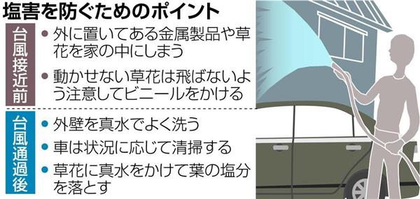風台風が巻き起こす塩害 各地に爪痕なお 紅葉シーズン控えイチョウにも被害 1 3ページ 産経ニュース 風台風が巻き起こす塩害 各地に爪痕なお 紅葉シーズン控えイチョウにも被害 1 3ページ 産経ニュース