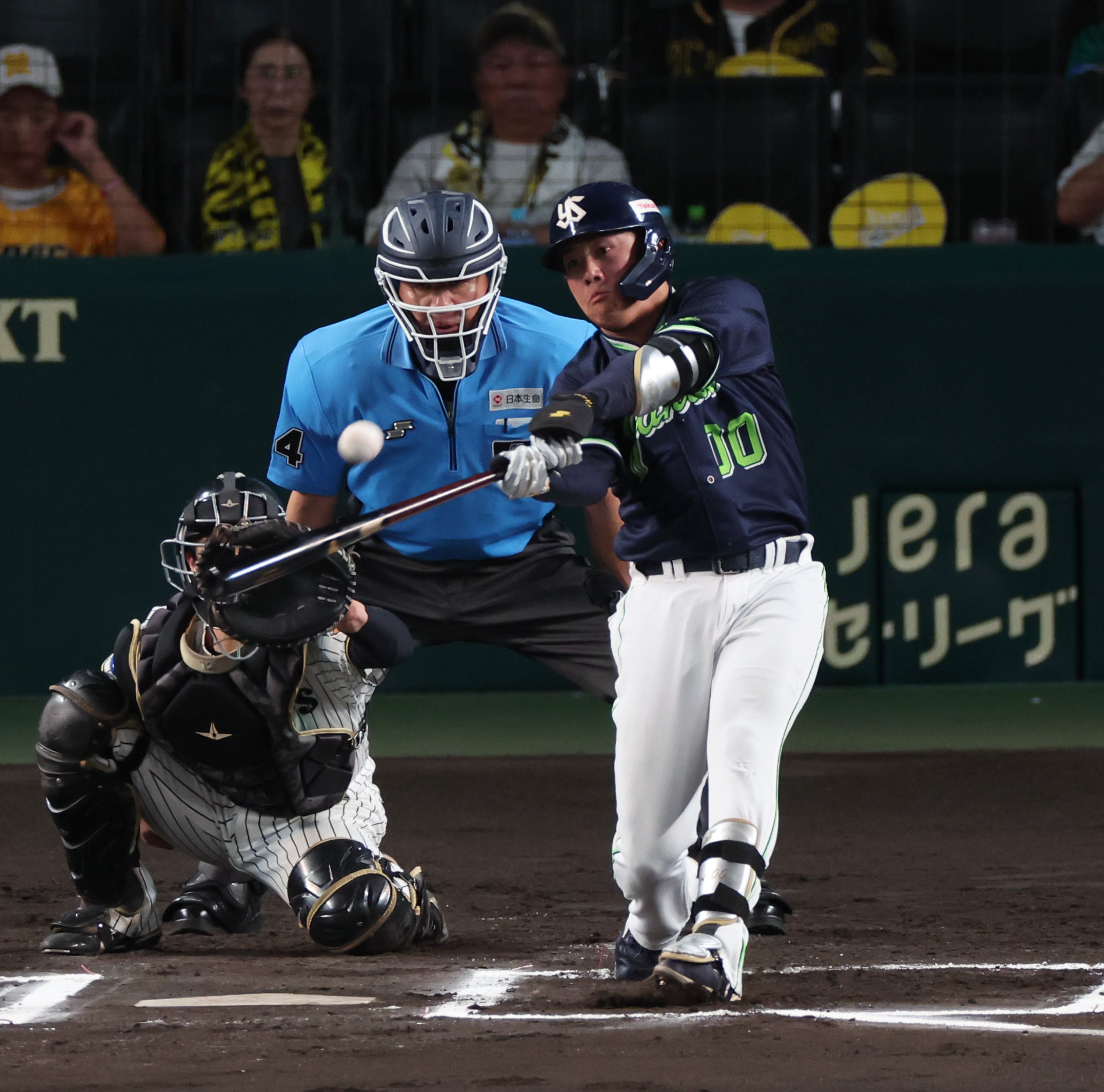 ヤクルト・赤羽由紘、甲子園の左翼席へ3号ソロ！ 4月28日の阪神戦以来