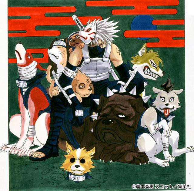 NARUTO』カカシ、口寄せする忍犬8匹の名前わかる？ 公式クイズにネット