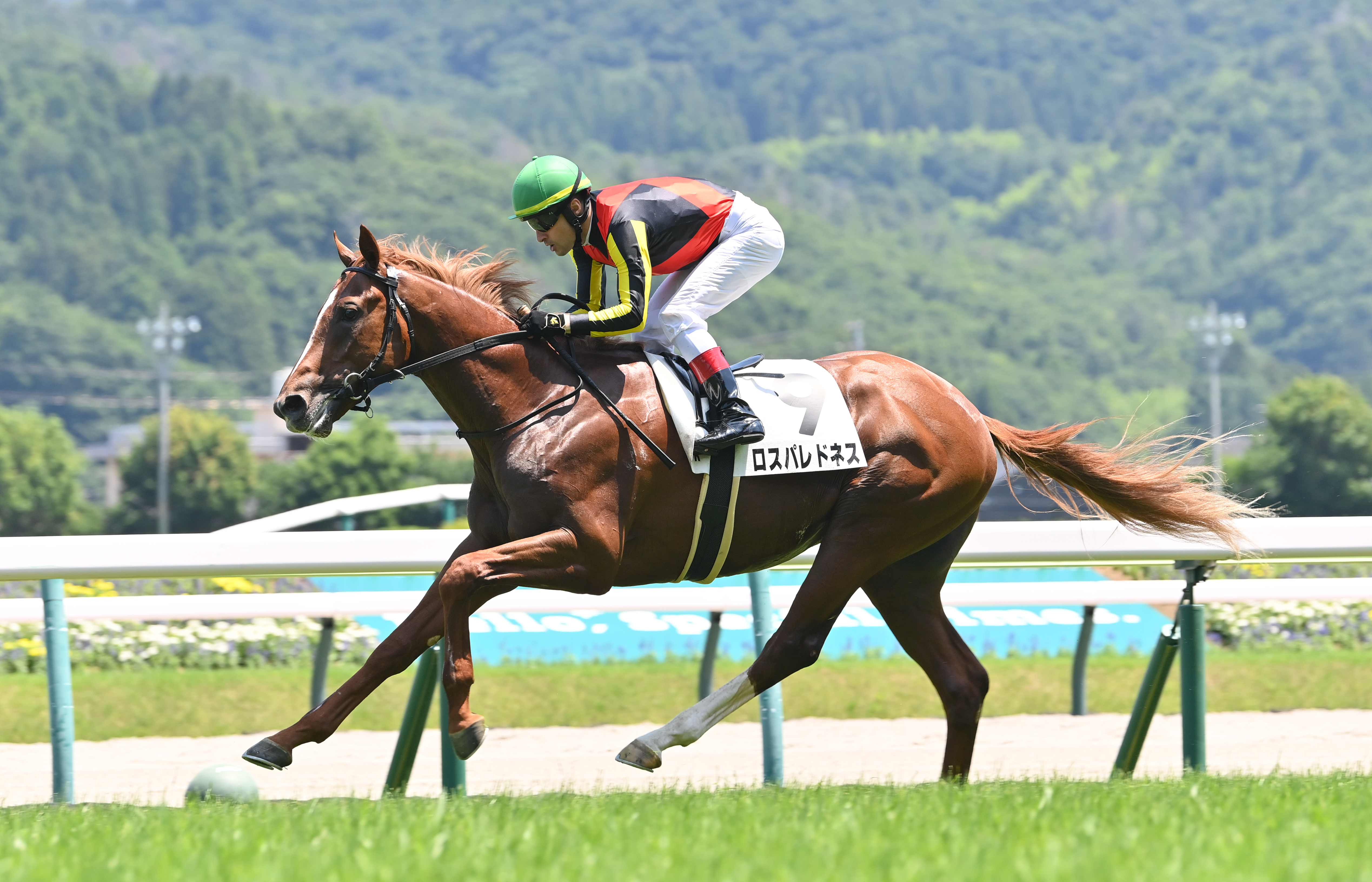 独特な ルメール騎手が10年ぶり参戦の福島競馬でV「やっと勝てた 武具