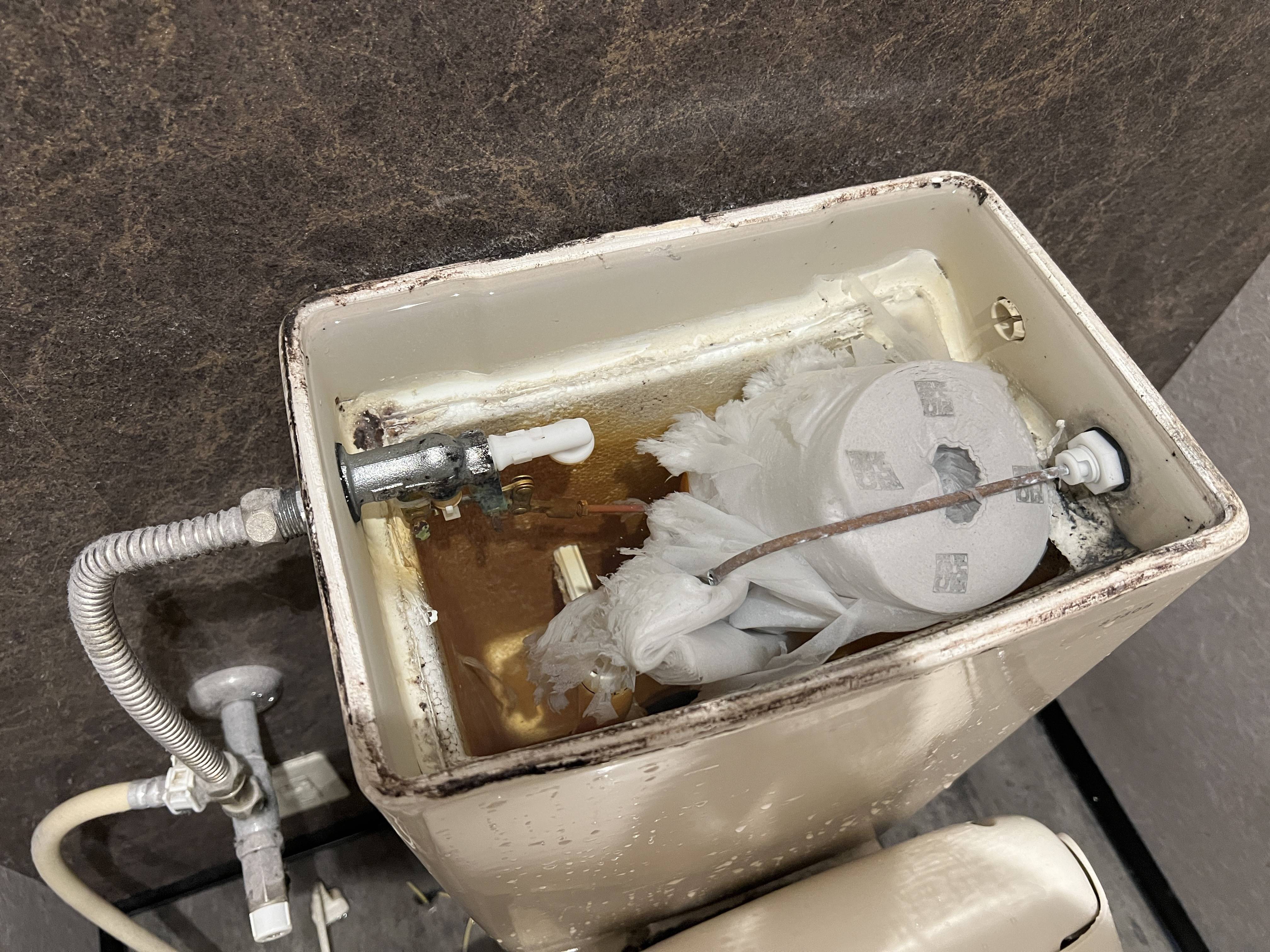 悪質いたずらか、女子トイレのタンクから水漏れで浸水被害 京都の娯楽