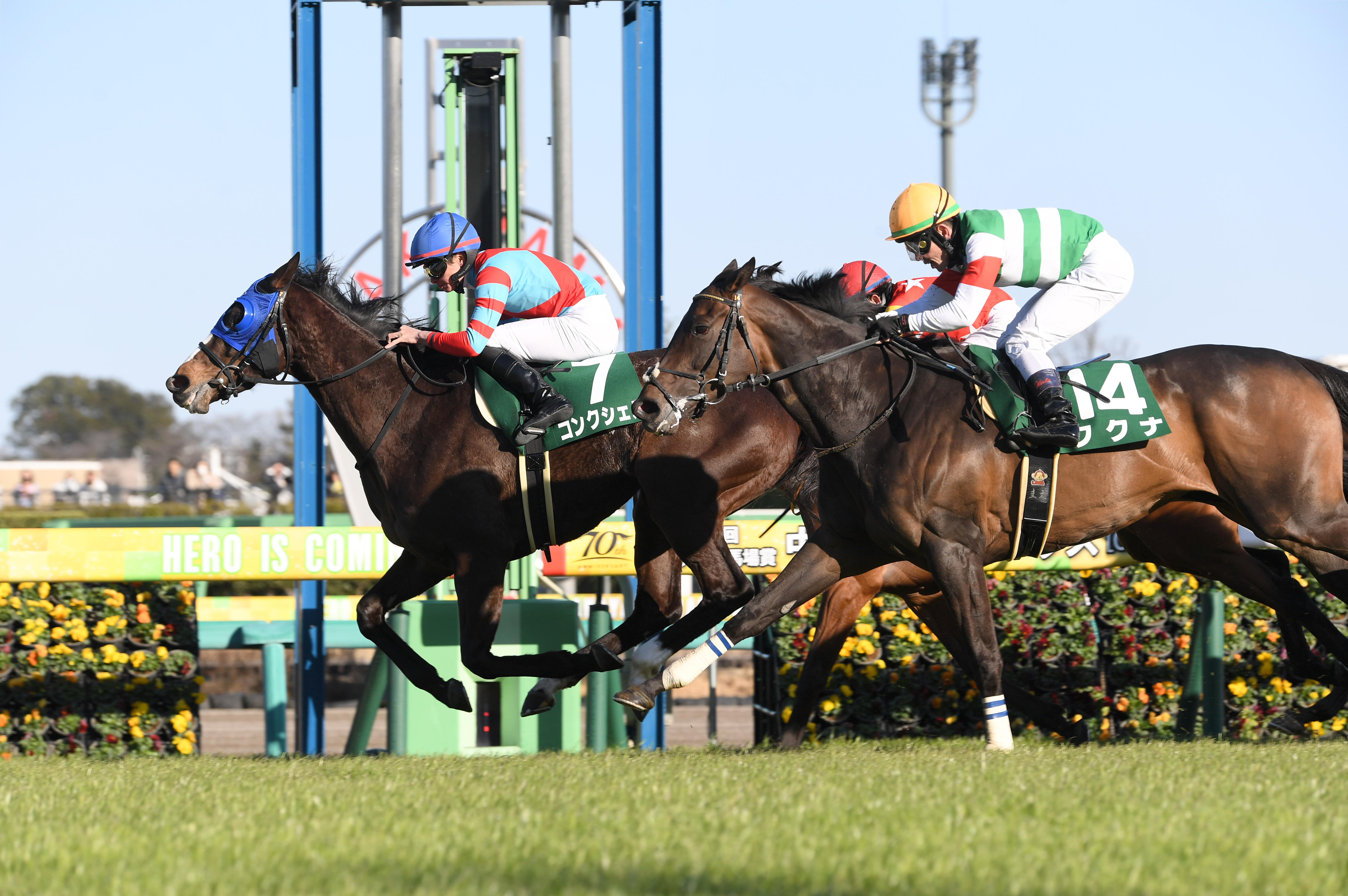 牝馬 JRA賞】エンブロイダリー 最優秀3歳牝馬を受賞 桜花賞と秋華賞の牝馬2
