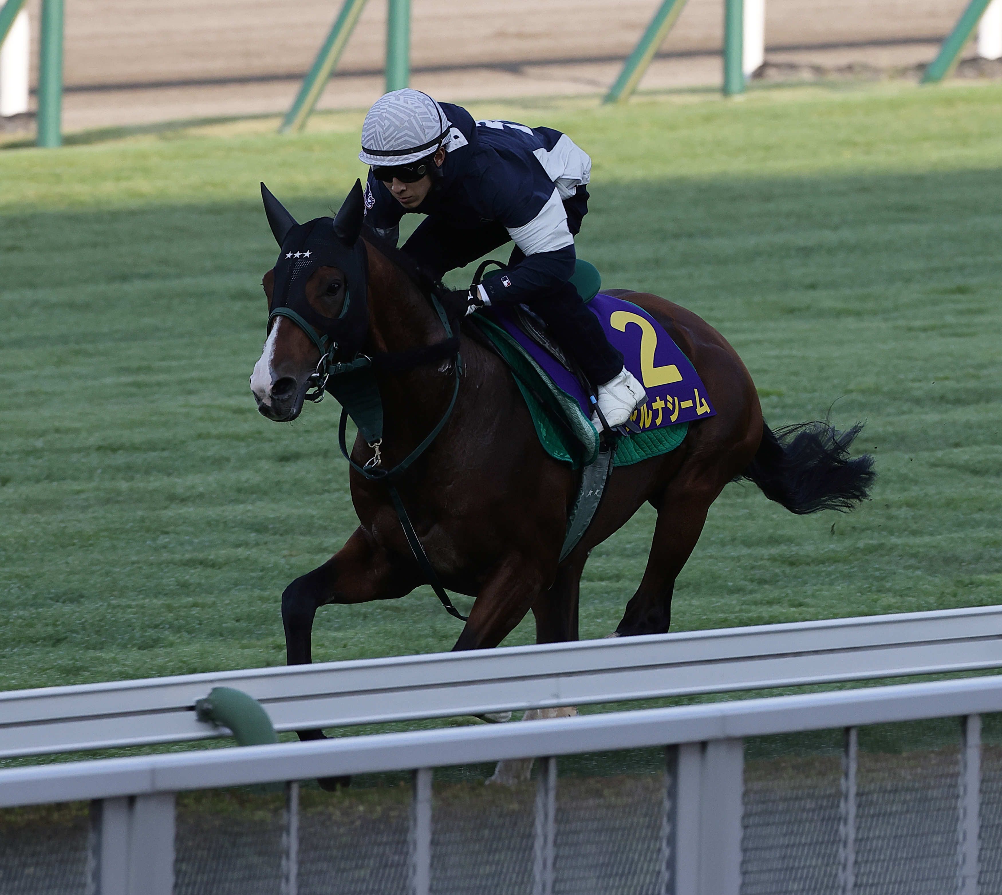 JRA 函館記念 重賞 コンプリート3点セット 函館記念 追い切り】アルナシーム加速グイッ！！伸びやか脚