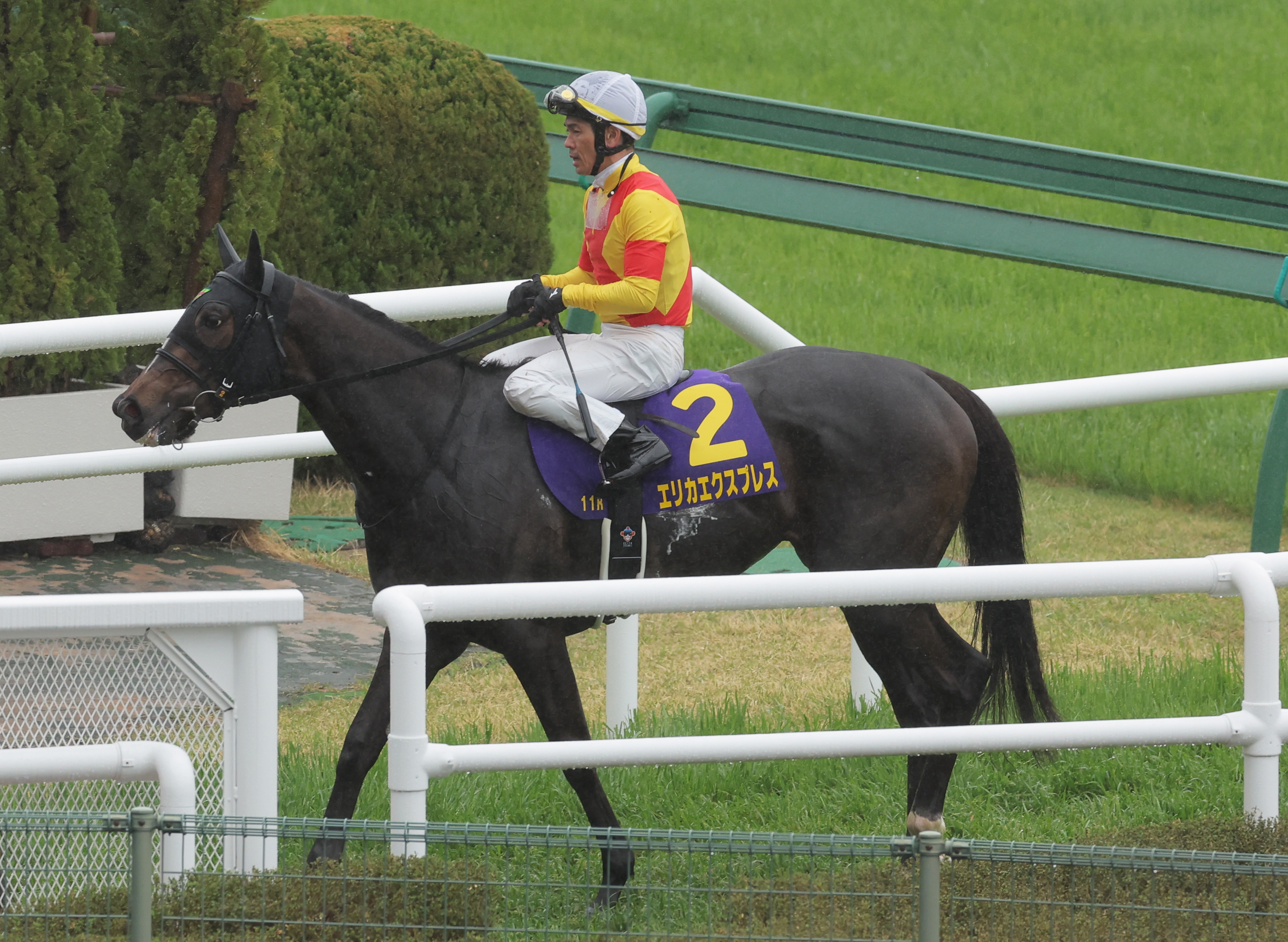 エドガー・ドガ　 　　騎手 競馬場、1台の馬車とアマチュア騎手たち》(1876-87) – 美術館