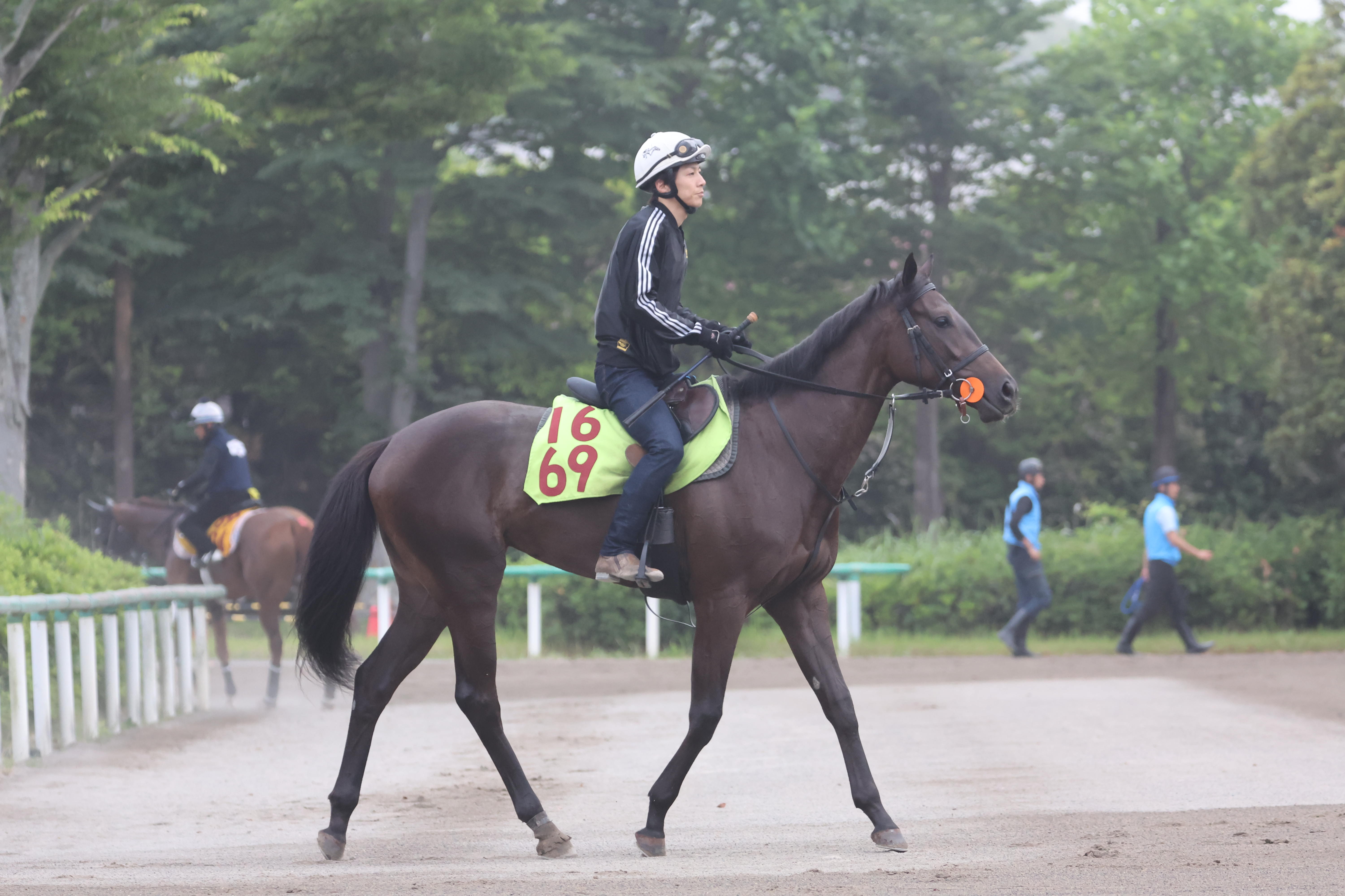 今日の注目新馬】芝向きのラングドシャ 黒鹿毛でも〝隠れ白毛
