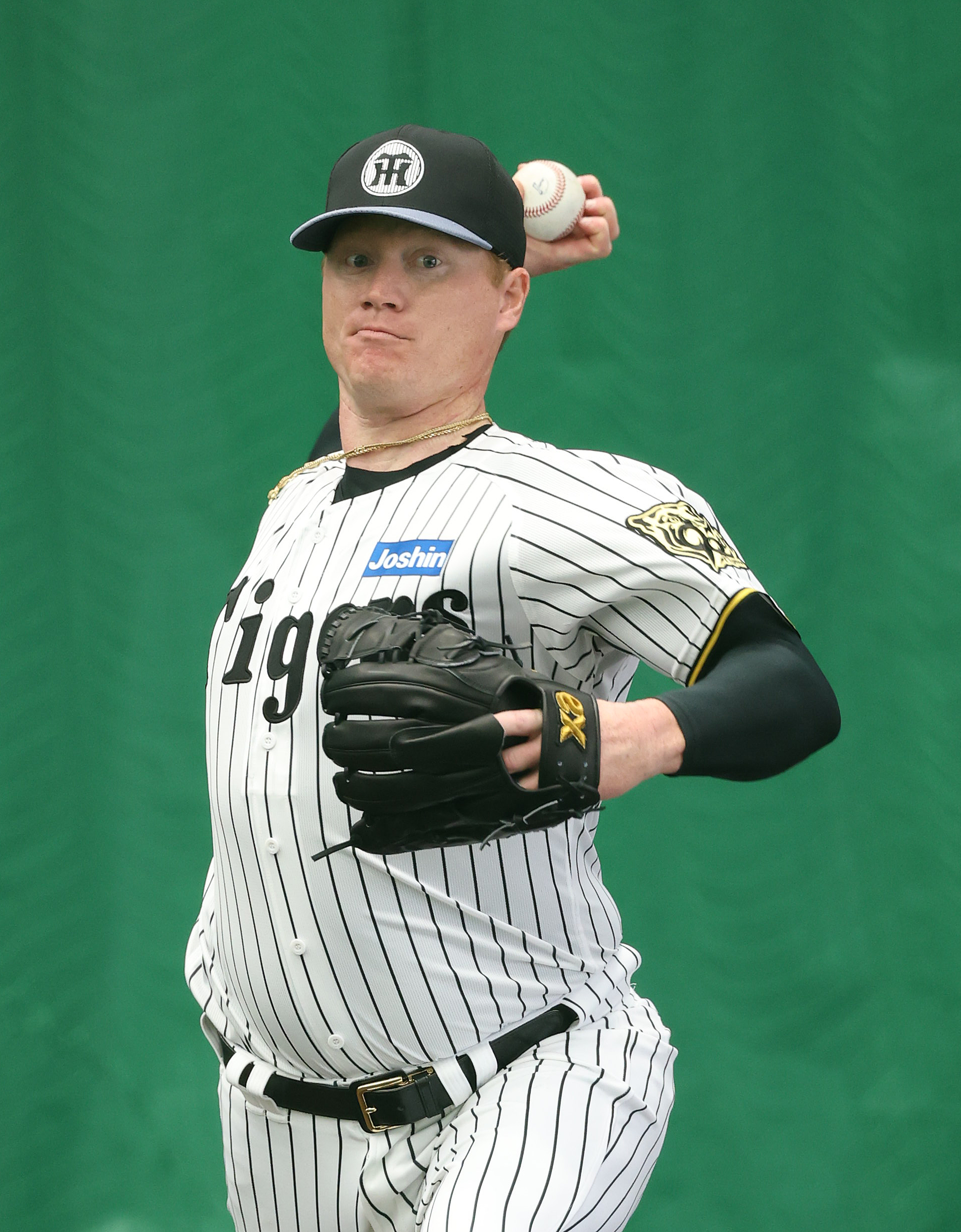 阪神の新外国人は名を捨てて実を取る ヘルナンデス、ネルソン、デュ