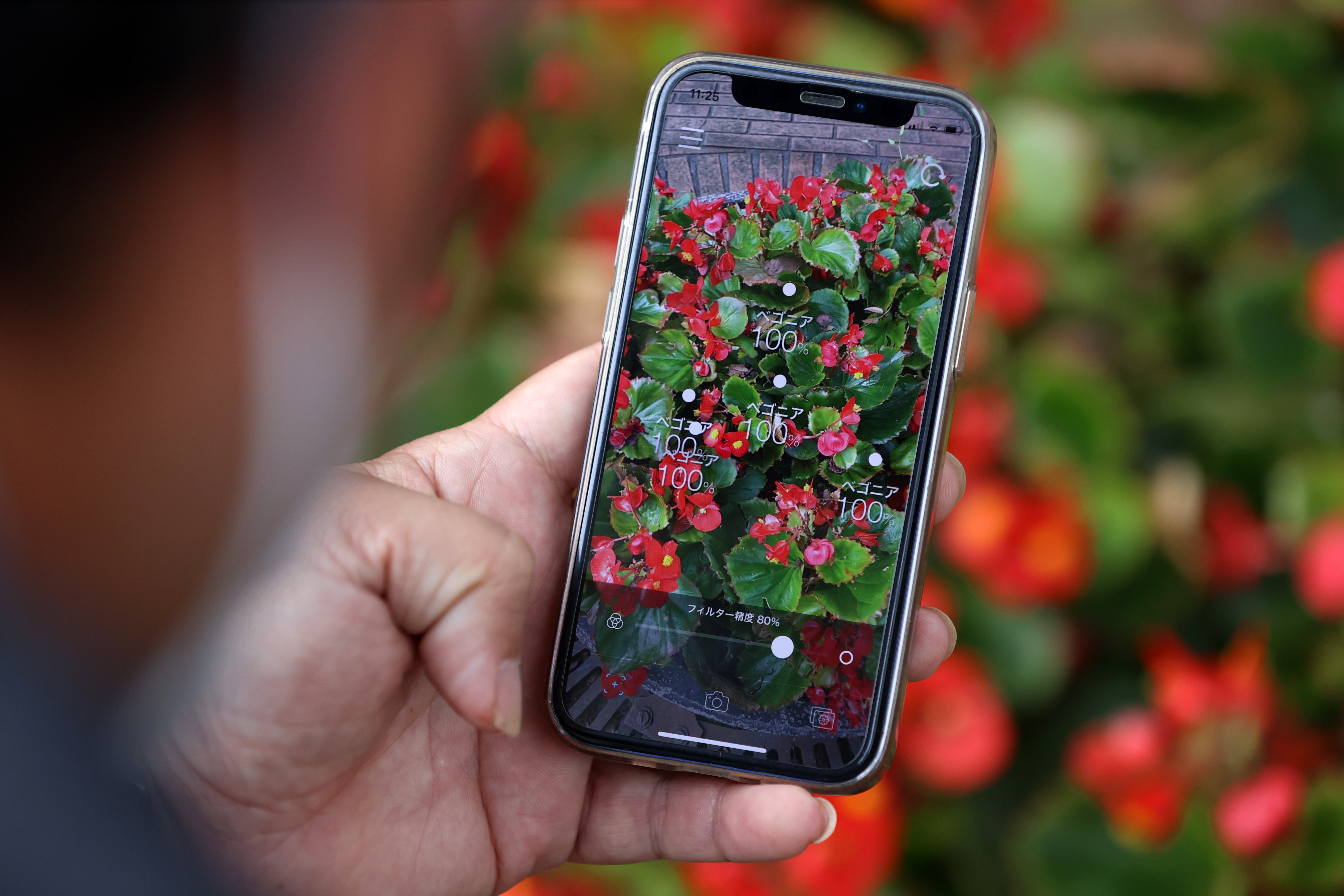 スマホかざすだけで花の名前がわかる千葉工大開発のアプリ ハナノナ が人気 自宅周辺で知的体験 散歩が楽しくなった Sponsored 産経ニュース