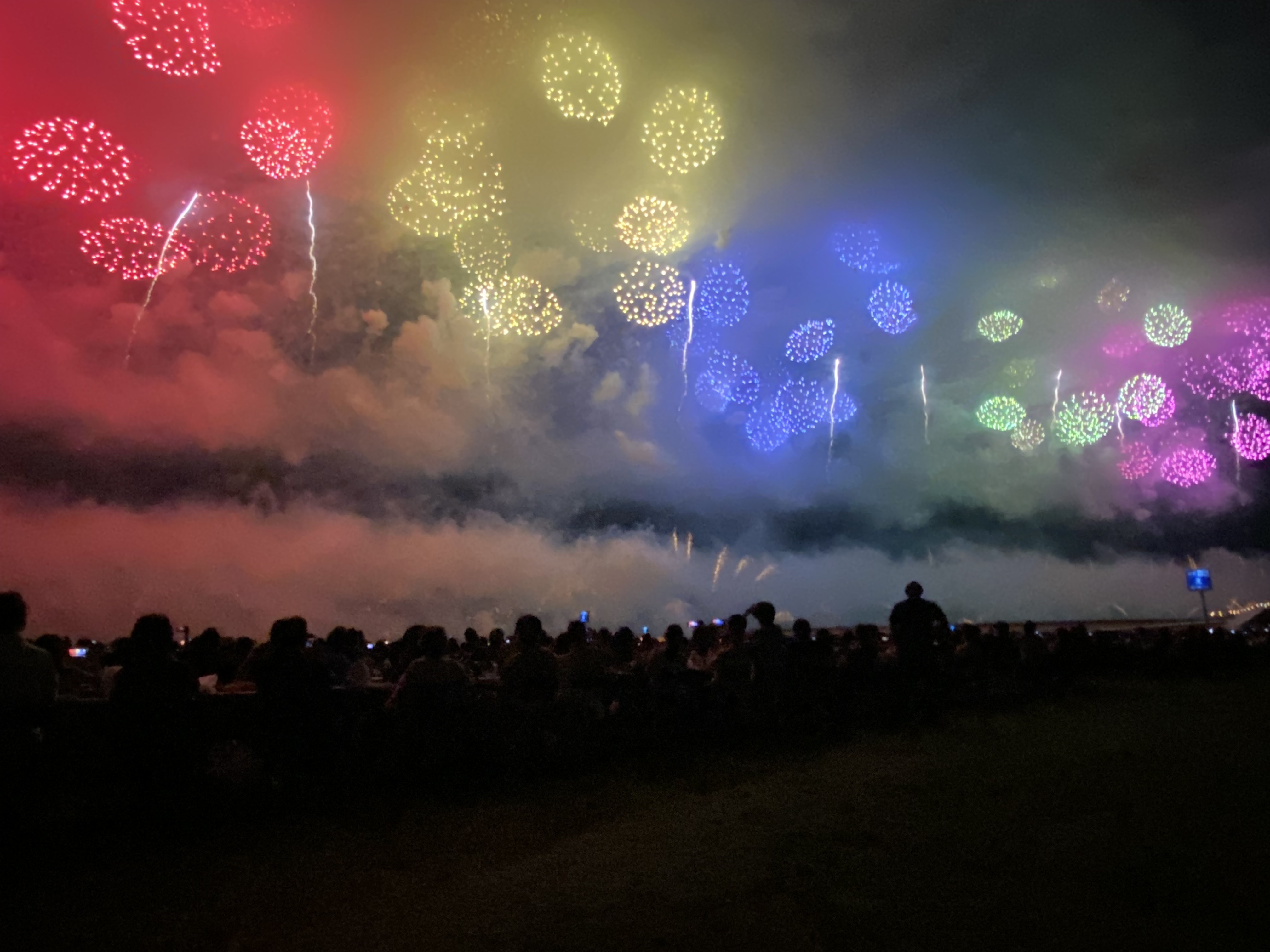 空襲慰霊と復興尽力の先人への感謝込め、大輪の花が夜空彩る 新潟