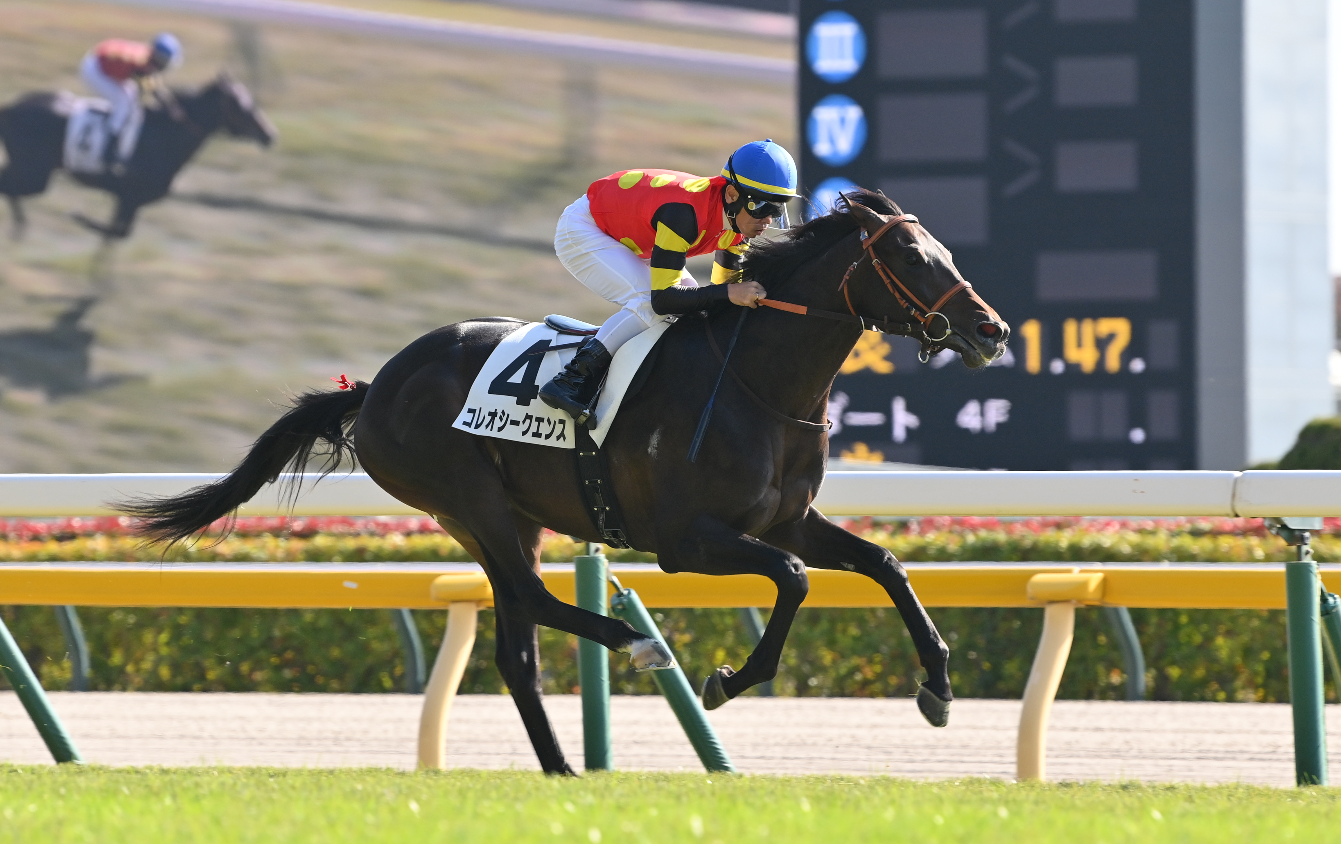 2歳新馬・東京5R】コレオシークエンスが逃げ切りV - サンスポZBAT!