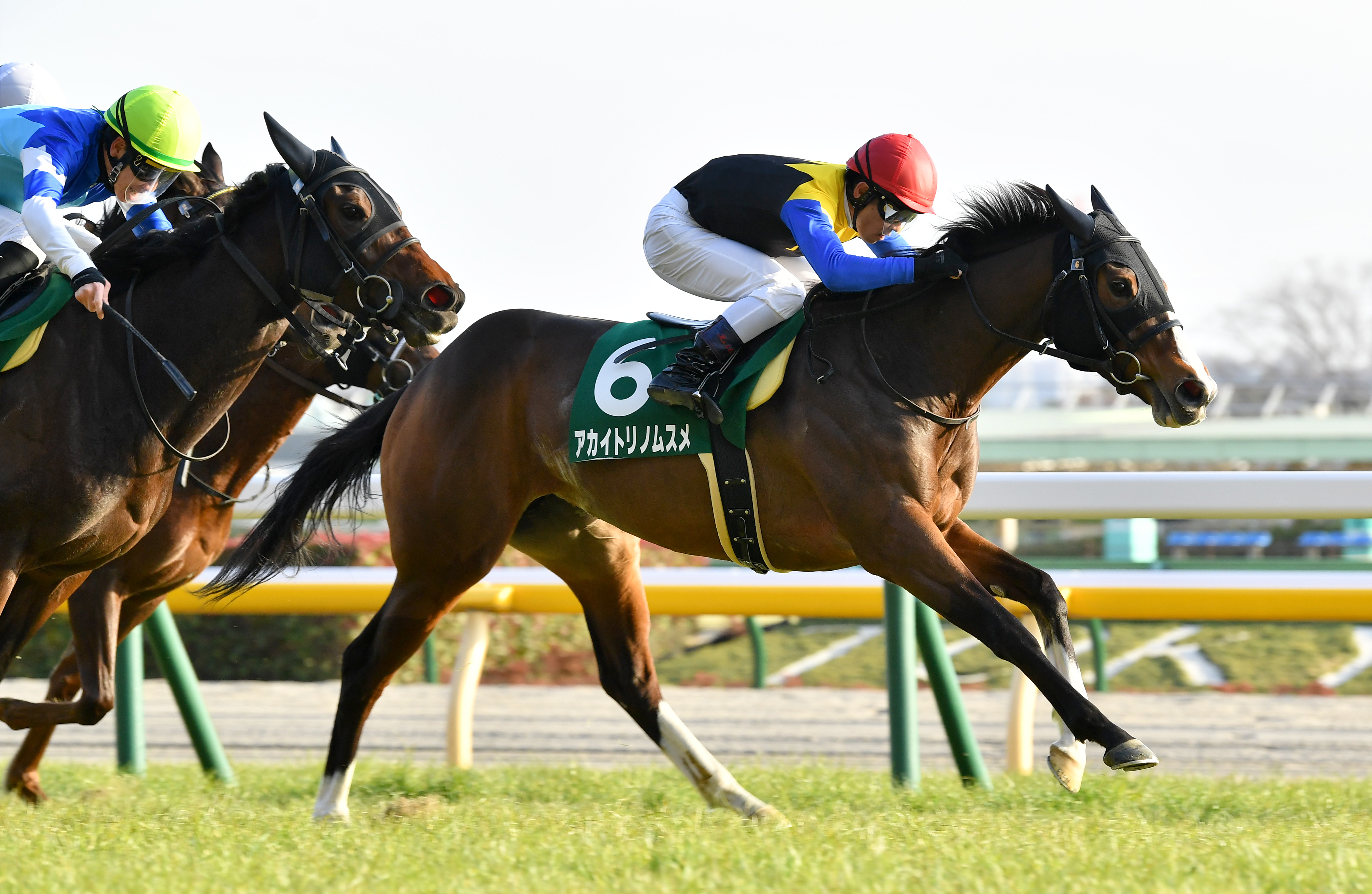 アカイトリノムスメが骨折 競馬の昨年秋華賞馬 - 産経ニュース