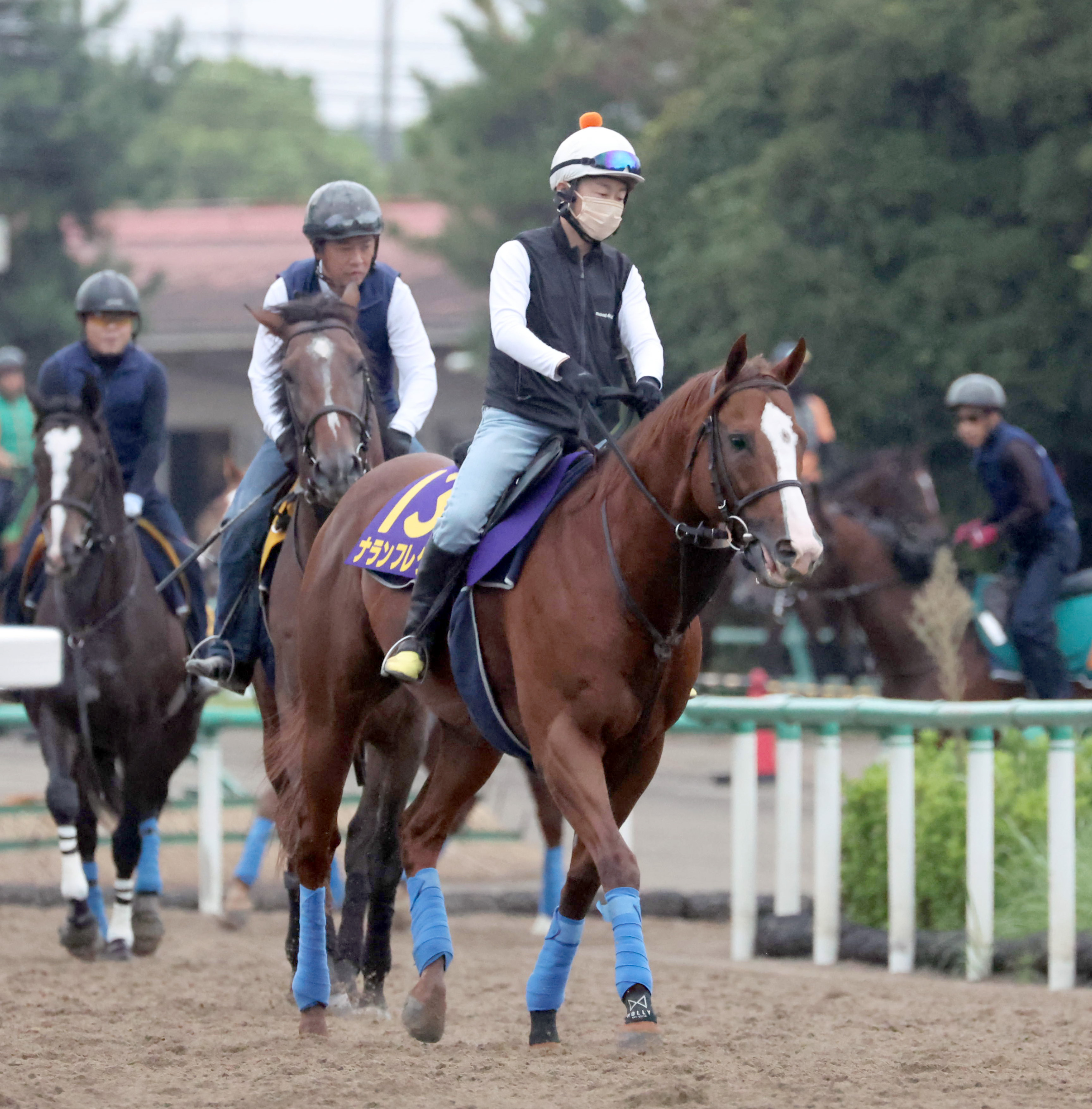 【スプリンターズＳ】枠順の明暗 ナランフレグは枠④番 丸田恭介 ...