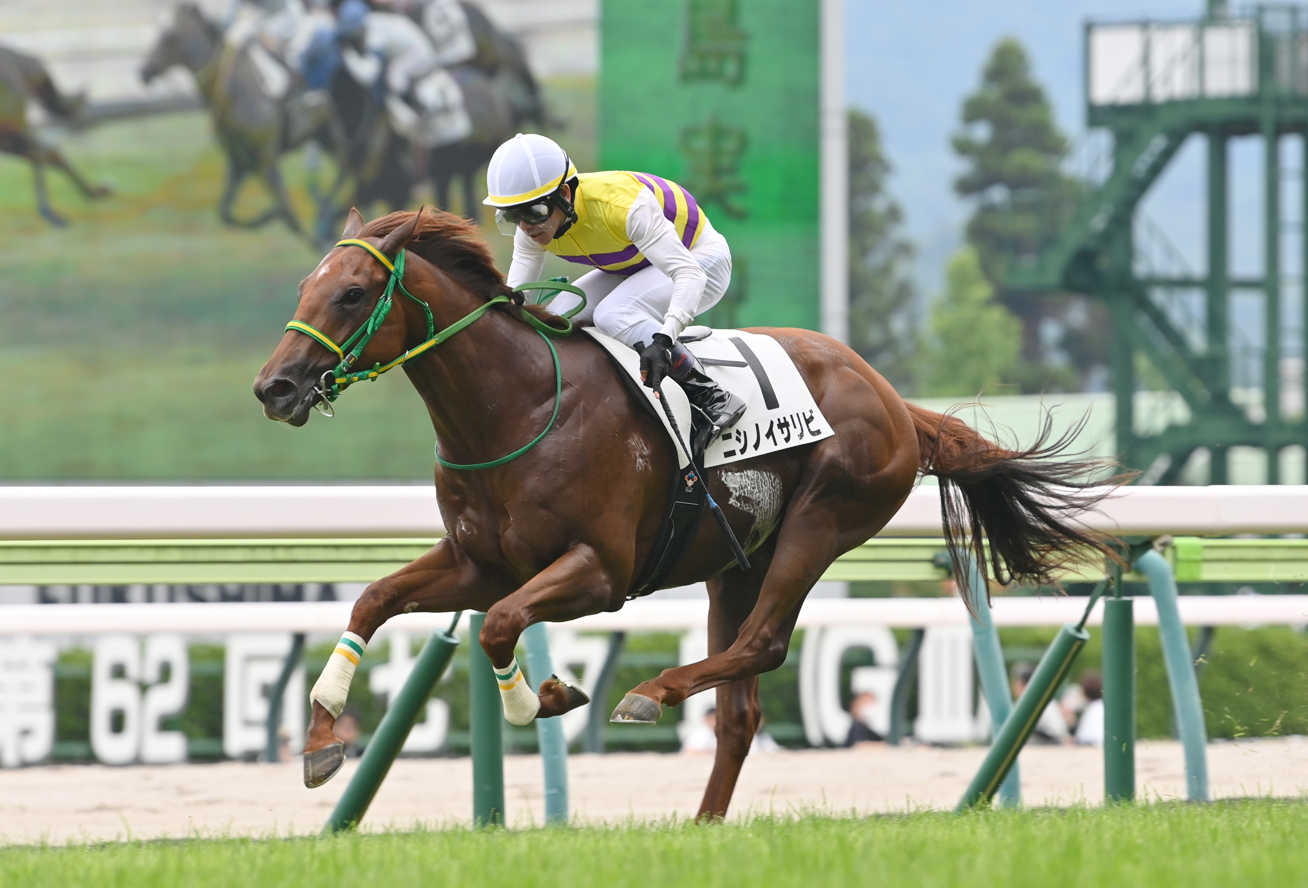競走馬 2歳新馬・福島5R】ニシノイサリビが人気に応えてデビュー勝ち！ 戸崎