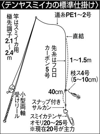 東京湾スミイカ好釣 テンヤのシャクリ釣法で衝撃ヒット 2 3ページ サンスポ