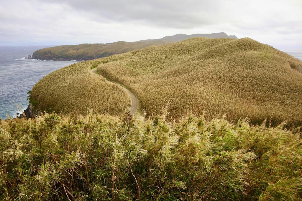 竹の島 竹と港と絶景――別格の原風景が広がる竹島～離島で感じる「地球の鼓動