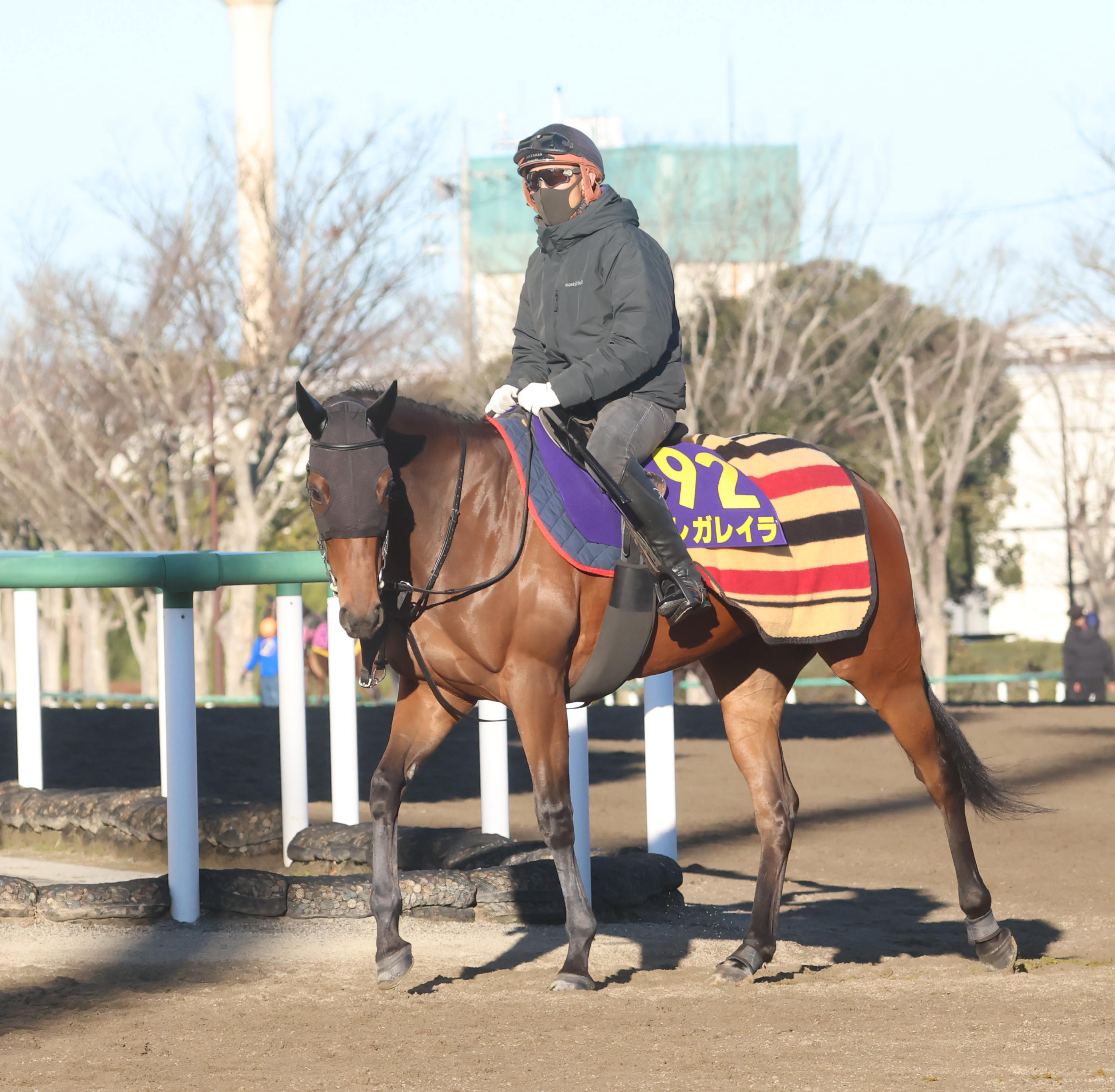 有馬記念 GⅠ血ェック】レガレイラは2005年有馬記念1、2着馬の融合
