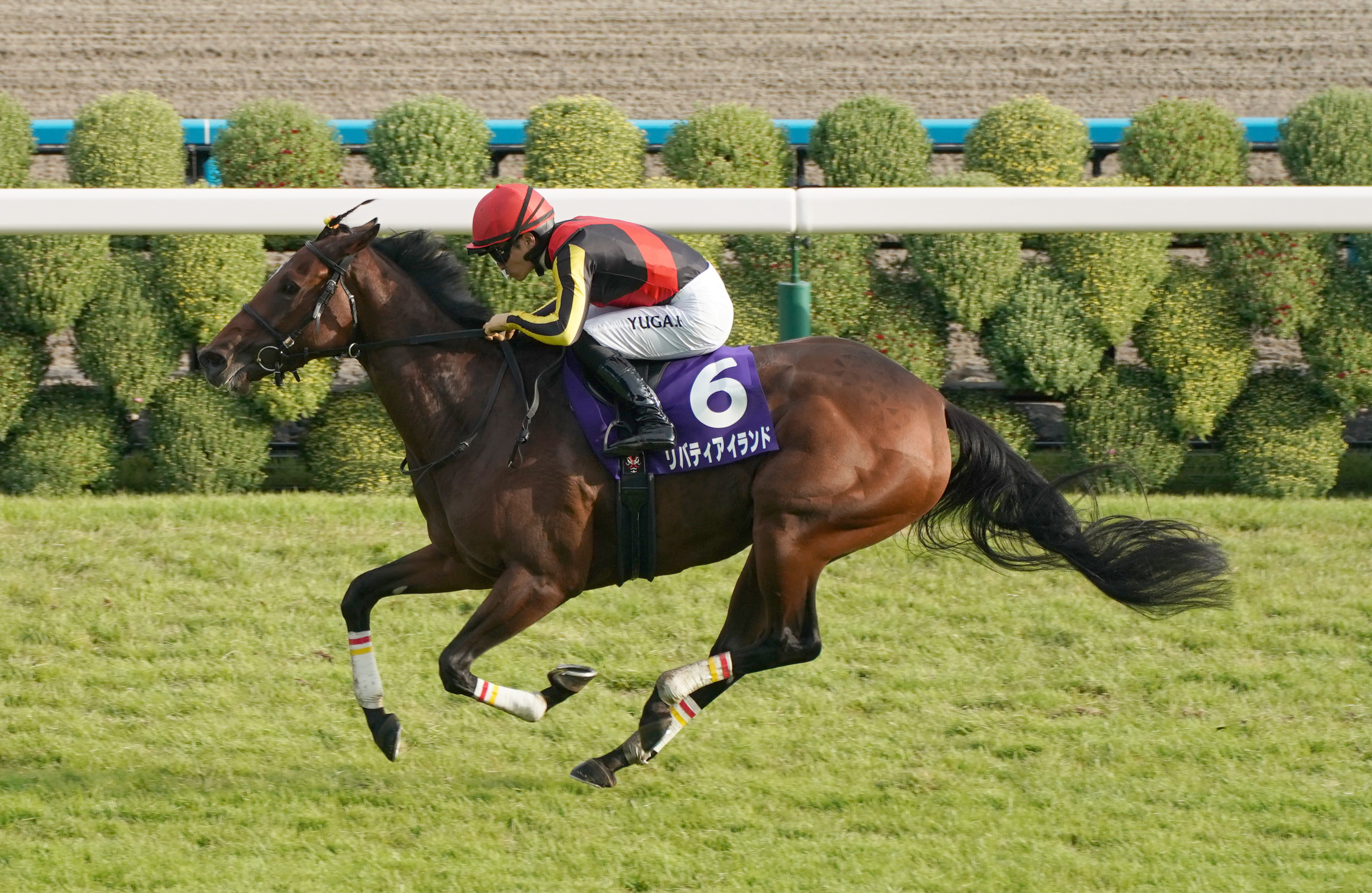【中古】 井崎脩五郎の競馬探偵/コーエーテクモゲームス/井崎脩五郎 中古】 井崎脩五郎の競馬探偵/コーエーテクモゲームス/井崎