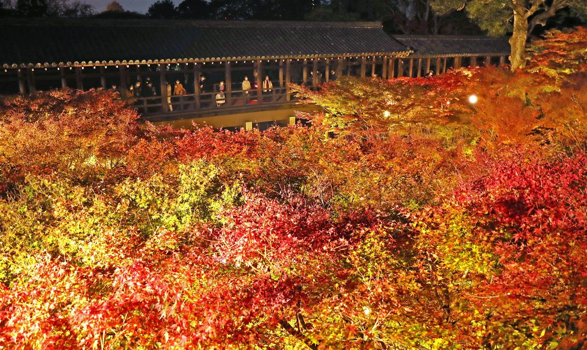 動画 通天橋から 赤の世界 東福寺が紅葉ライトアップ 初の一般公開 産経ニュース